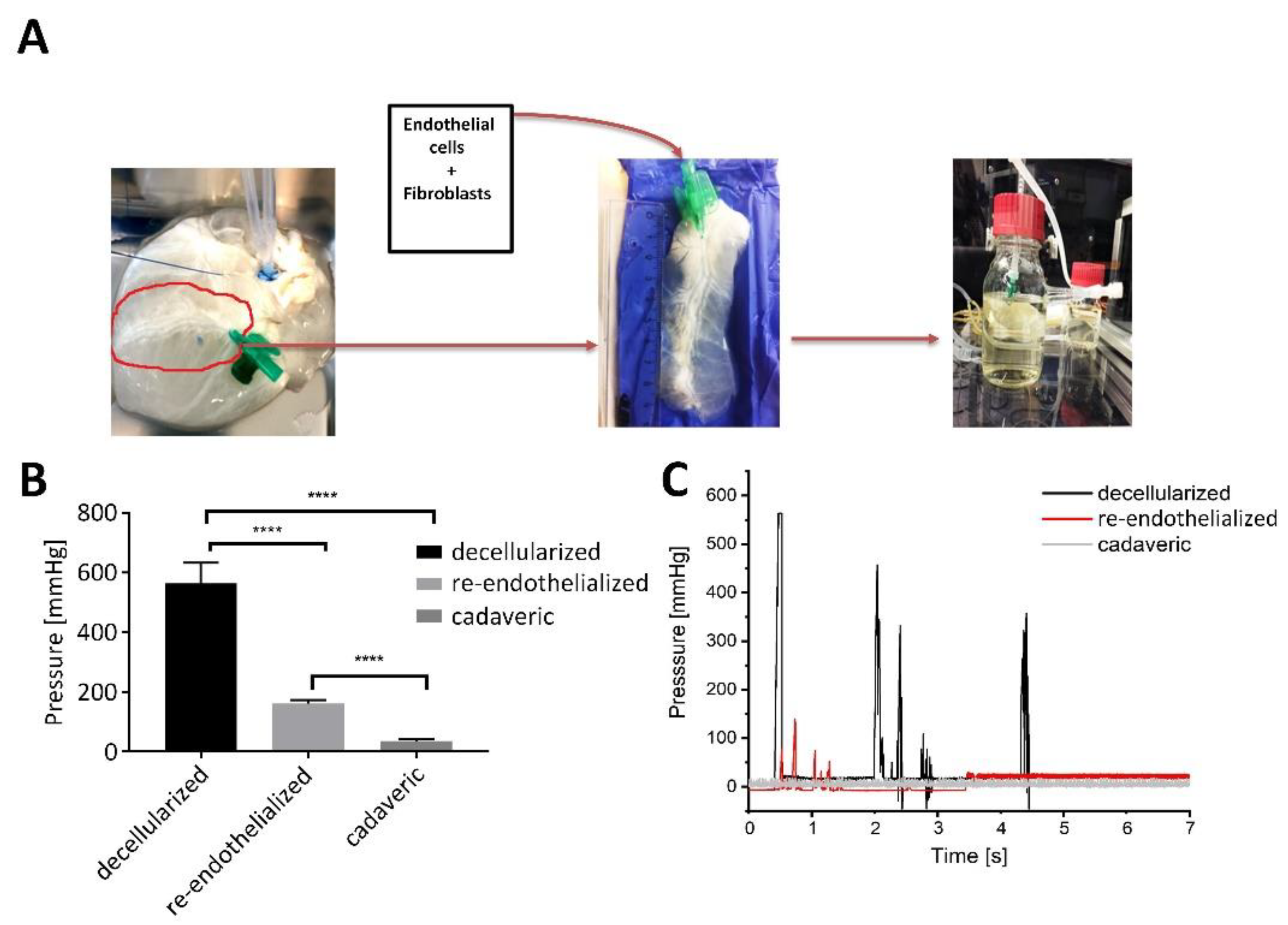 Bioengineering 09 00147 g003 550