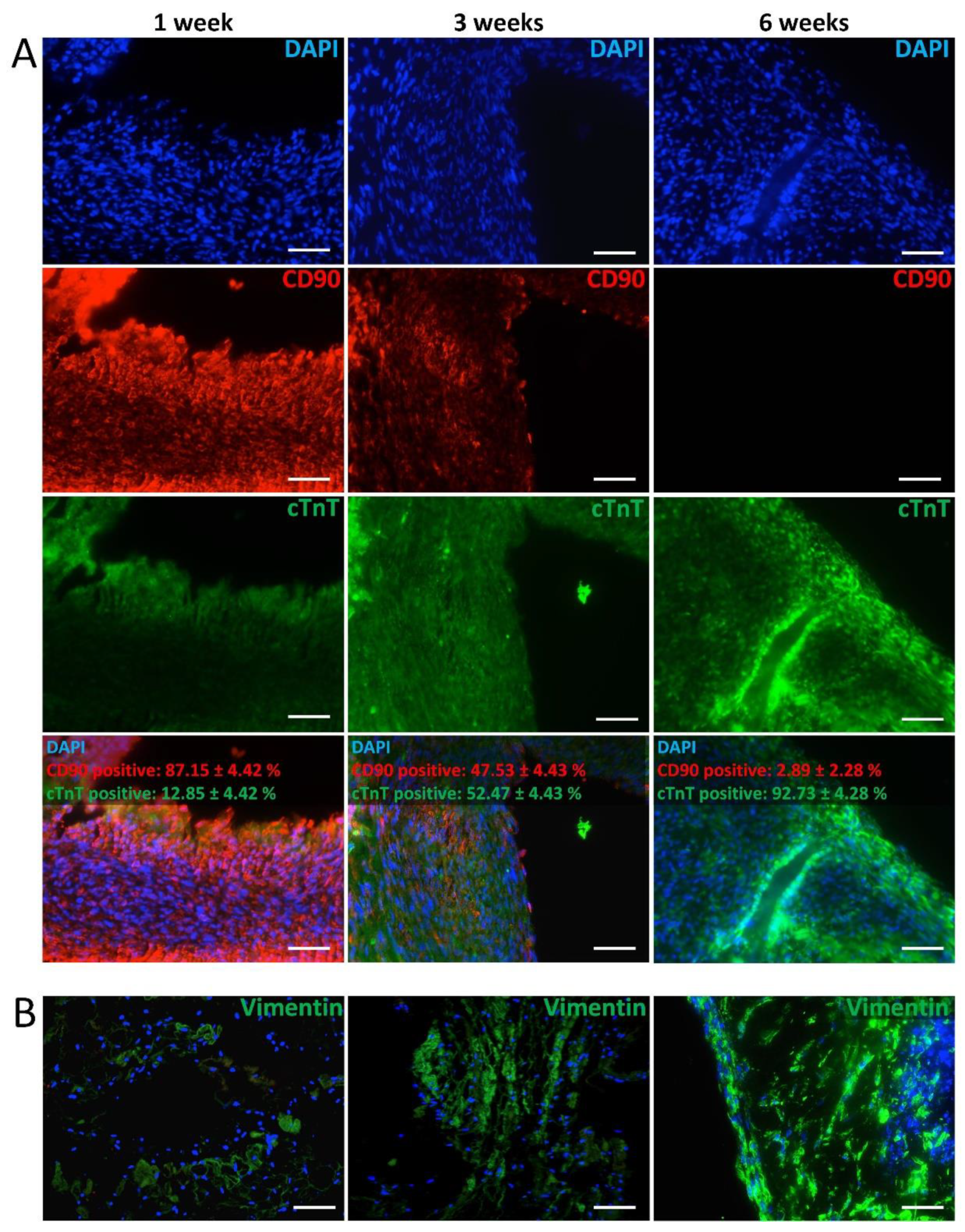 Bioengineering 09 00147 g005 550