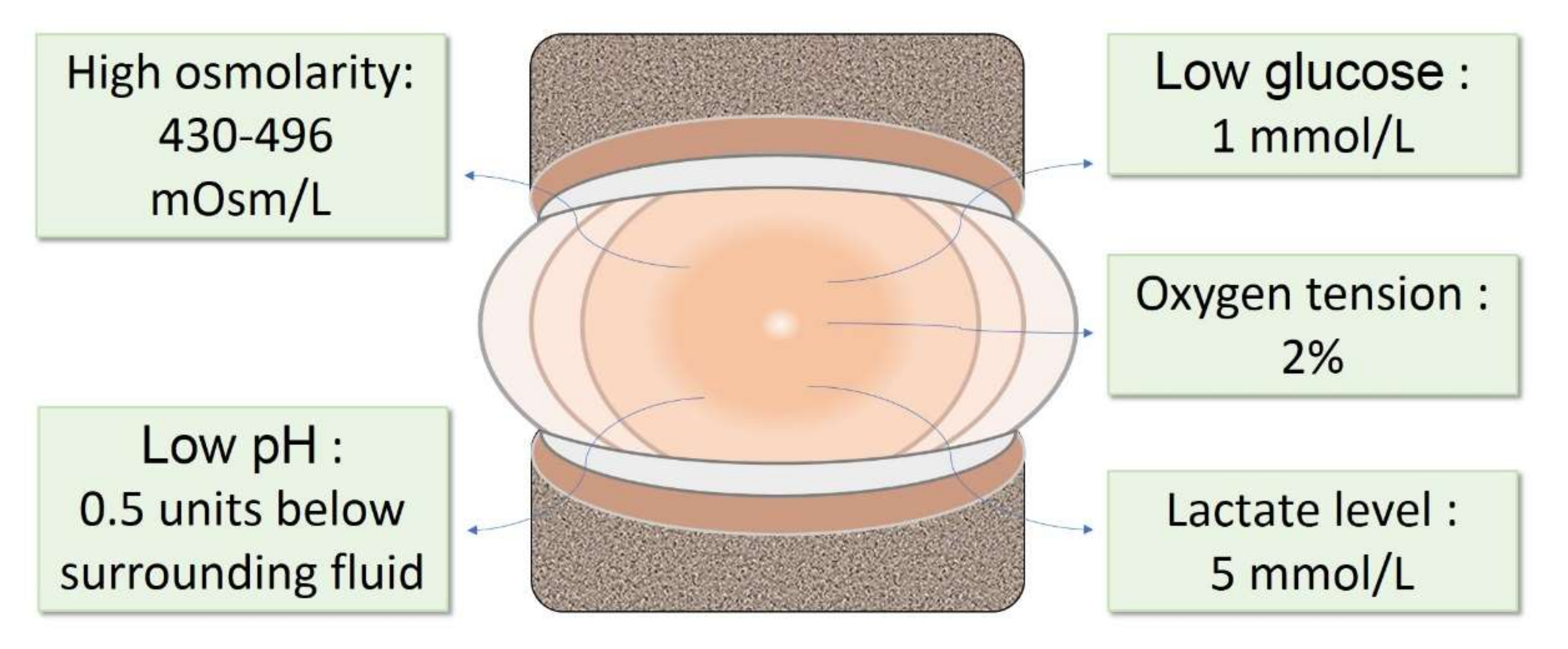 Bioengineering 09 00148 g001 Bioengineering 09 00148 g001