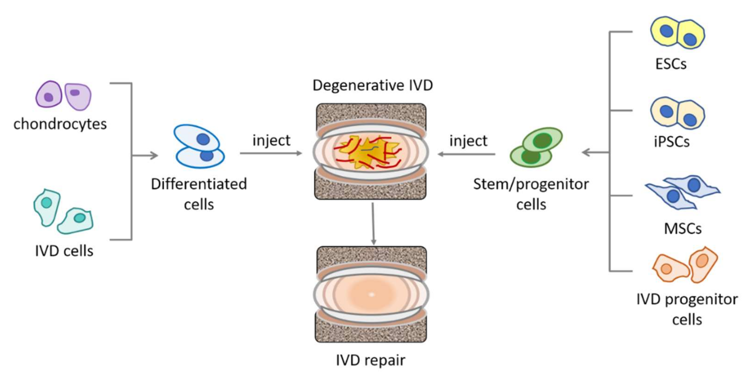 Bioengineering 09 00148 g002 Bioengineering 09 00148 g002