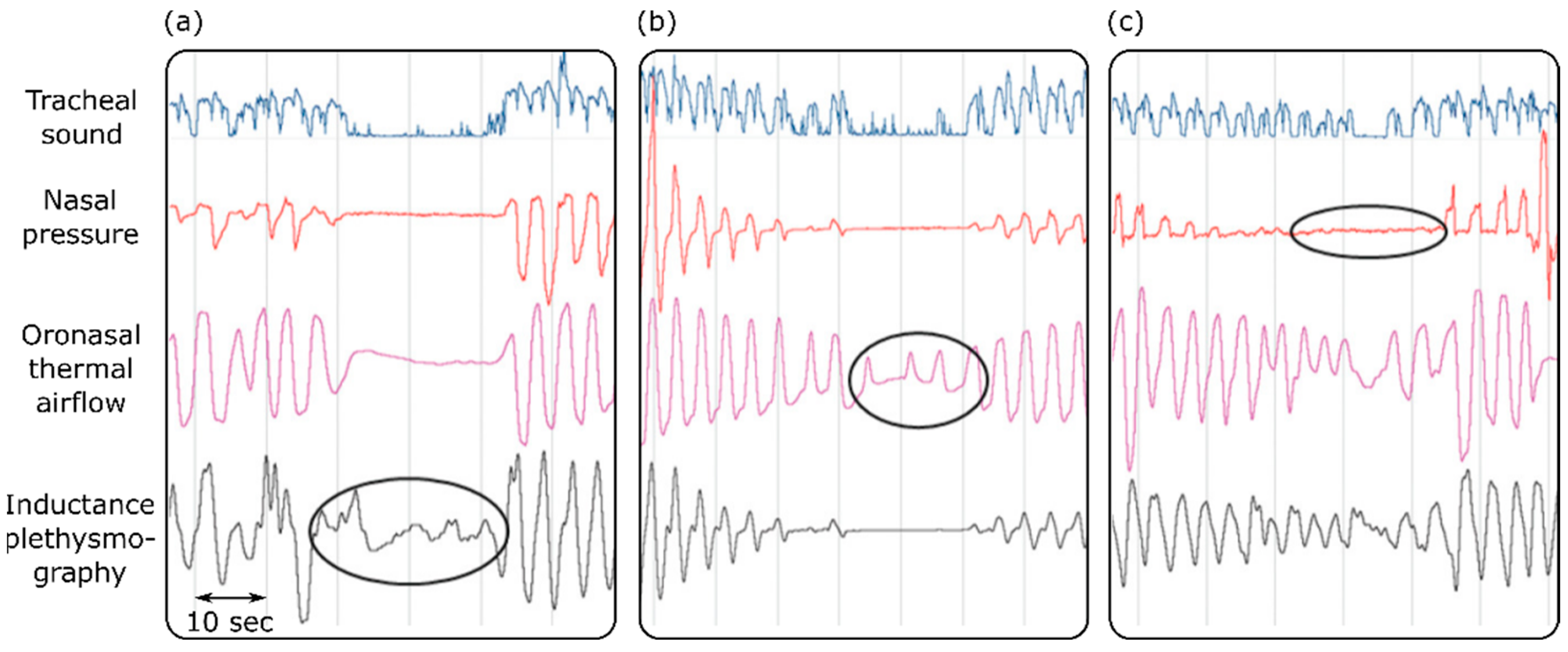 Bioengineering 09 00149 g003