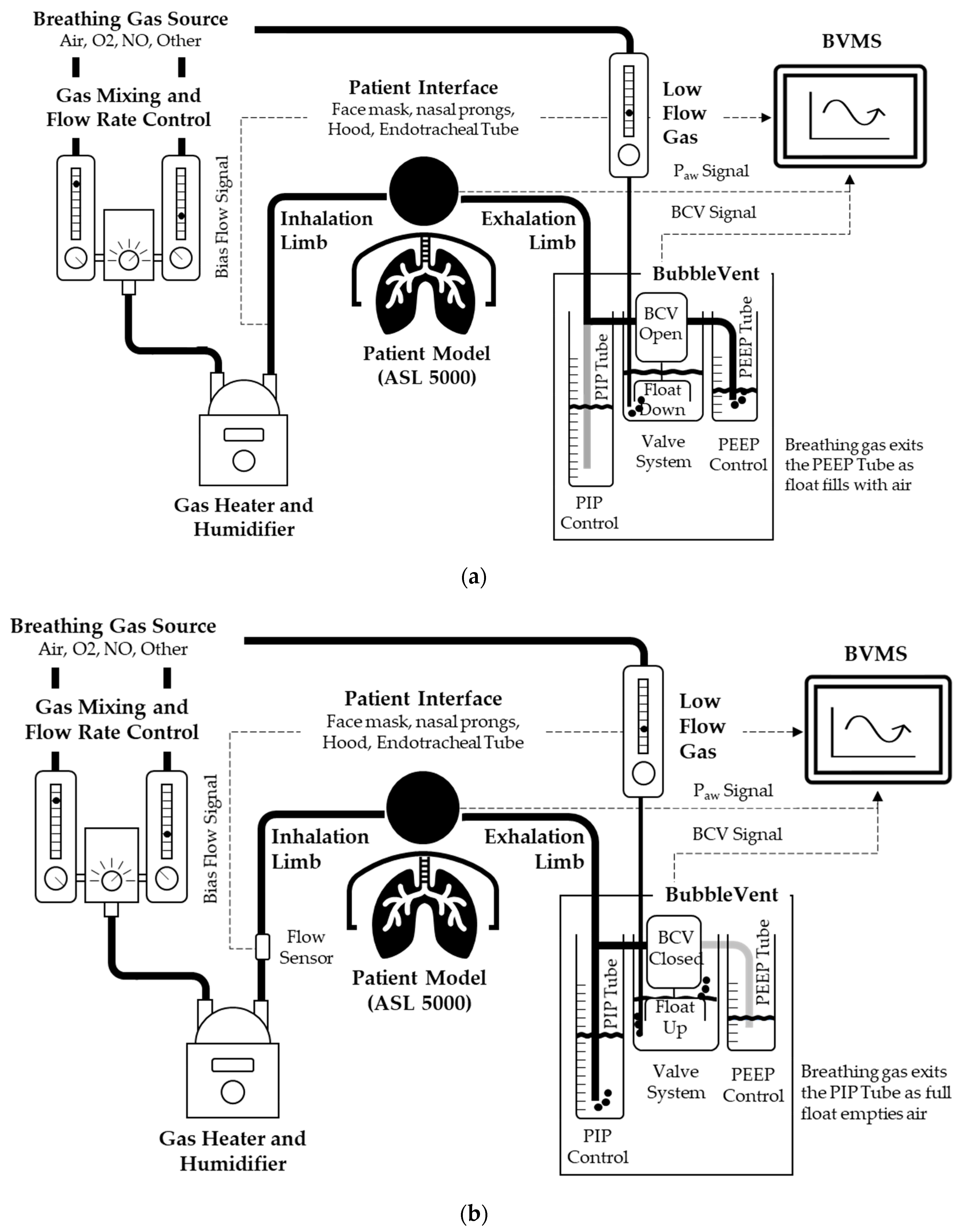 Decrement Scold Cardinal Bioengineering | Free Full-Text | Performance Characteristics of a Novel 3D-Printed Bubble Intermittent Mandatory Ventilator (B-IMV) for Adult Pulmonary Support | HTML Decrement Scold Cardinal Bioengineering | Free Full-Text | Performance Characteristics of a Novel 3D-Printed Bubble Intermittent Mandatory Ventilator (B-IMV) for Adult Pulmonary Support | HTML