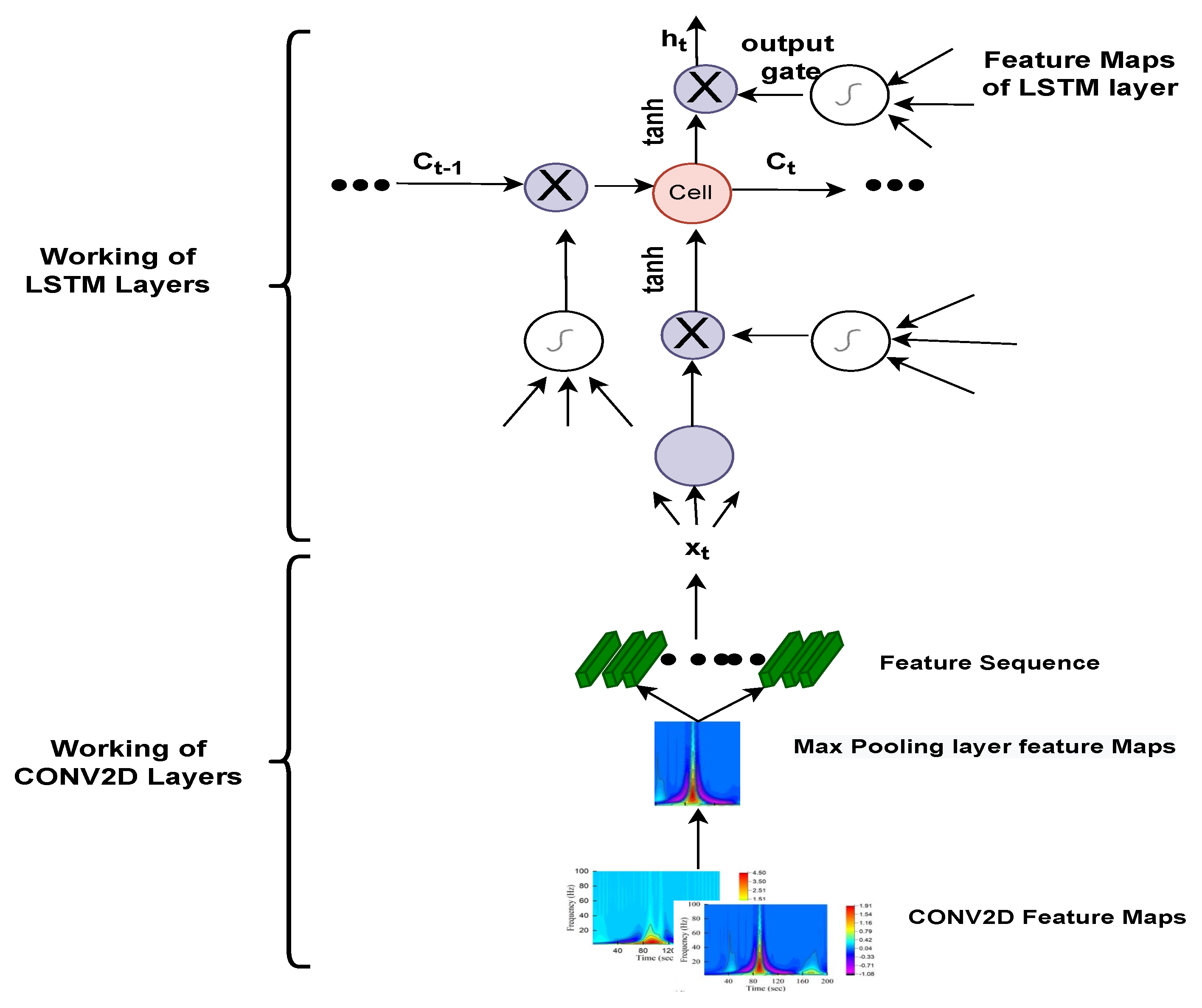 Bioengineering 09 00152 g009 550