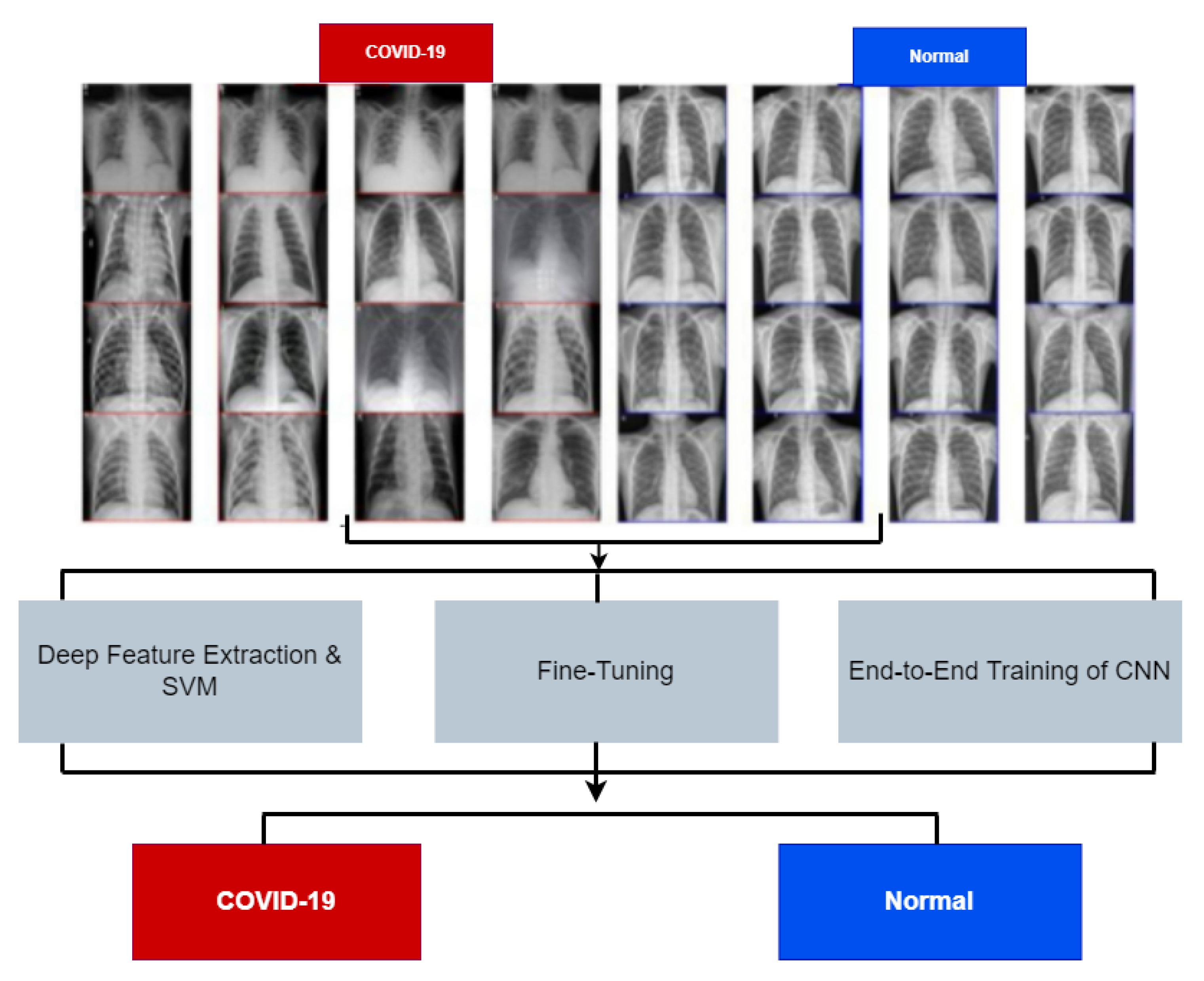 Bioengineering 09 00153 g002