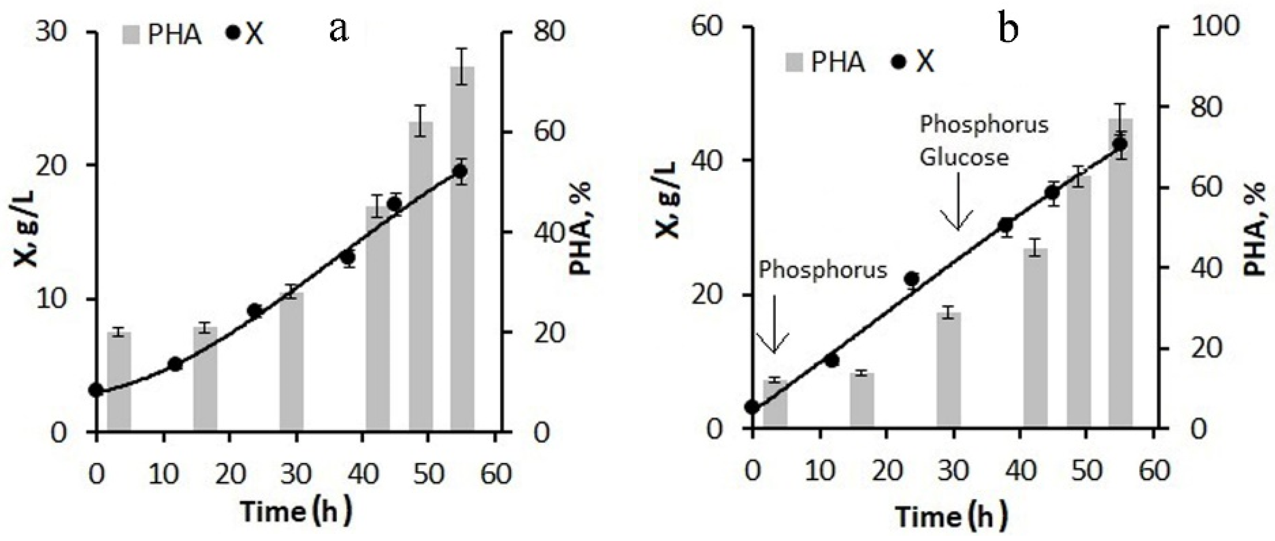 Bioengineering 09 00154 g003
