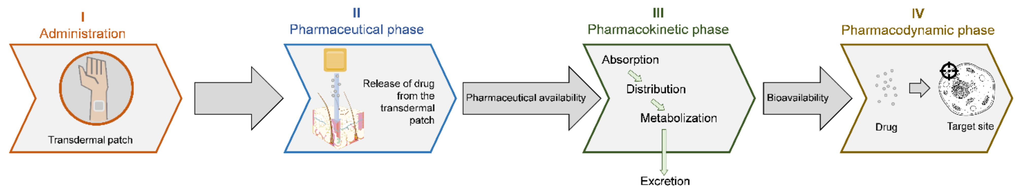 Bioengineering 09 00158 g001