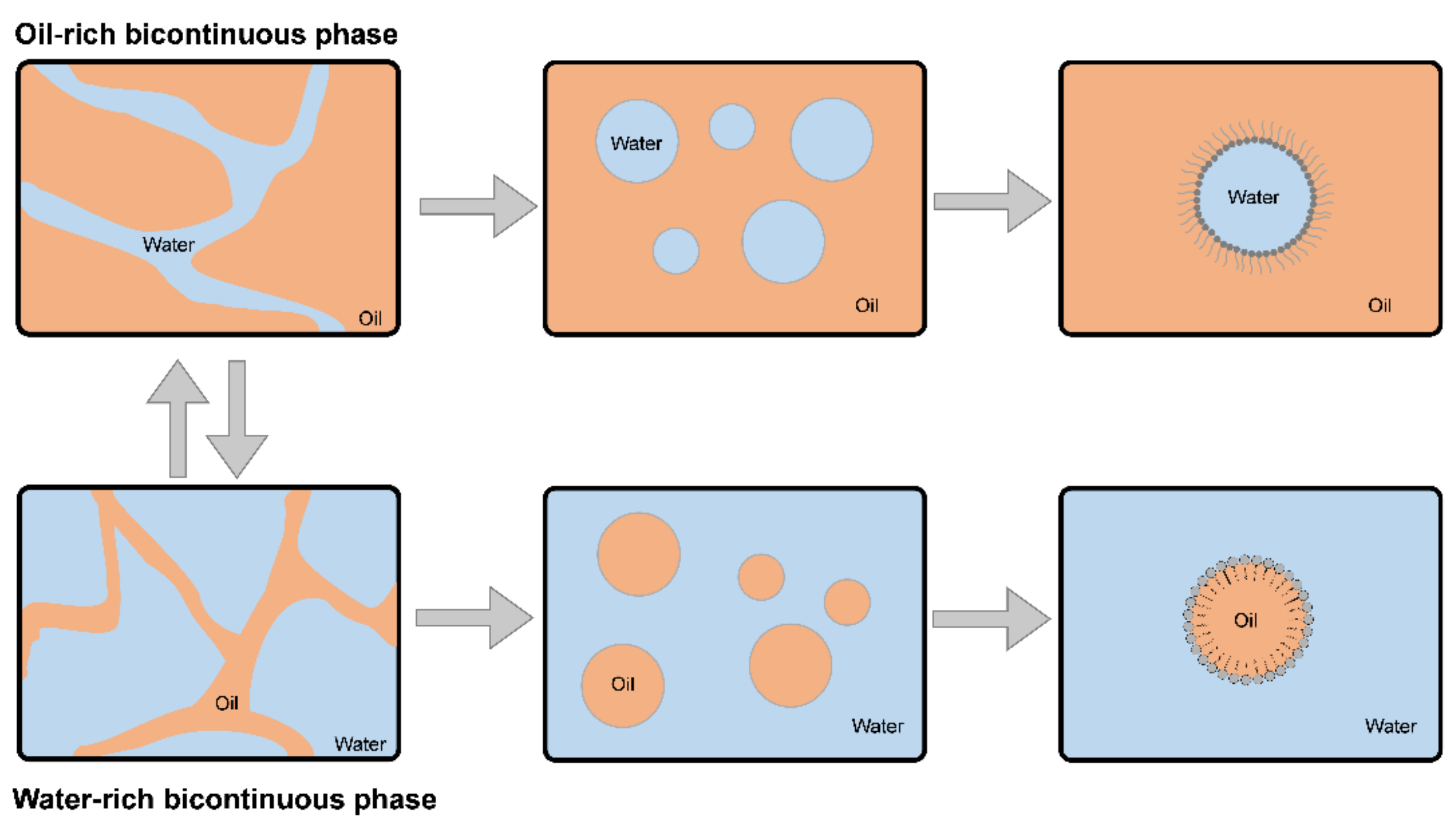 Bioengineering 09 00158 g002