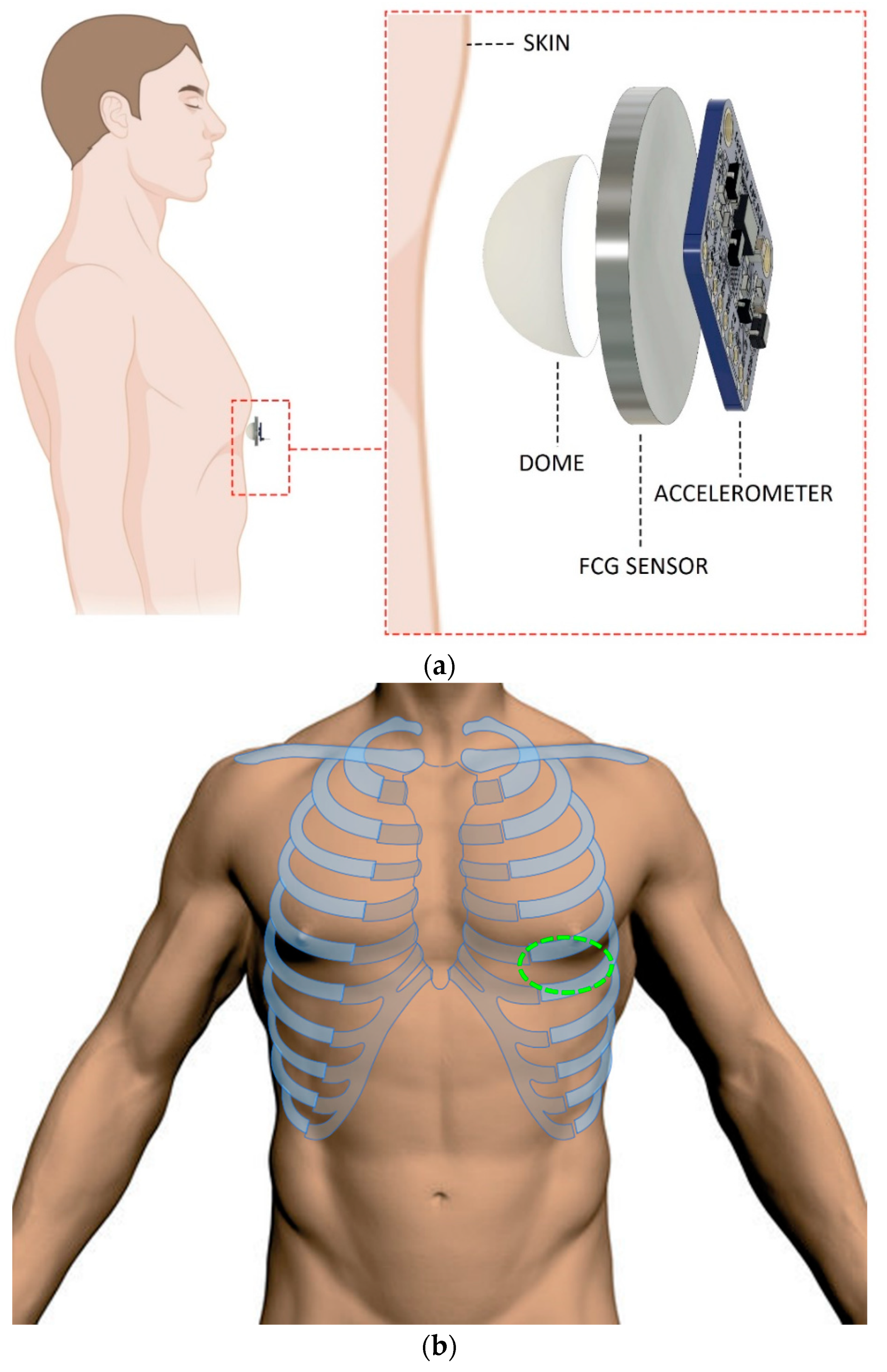 Bioengineering 09 00167 g001