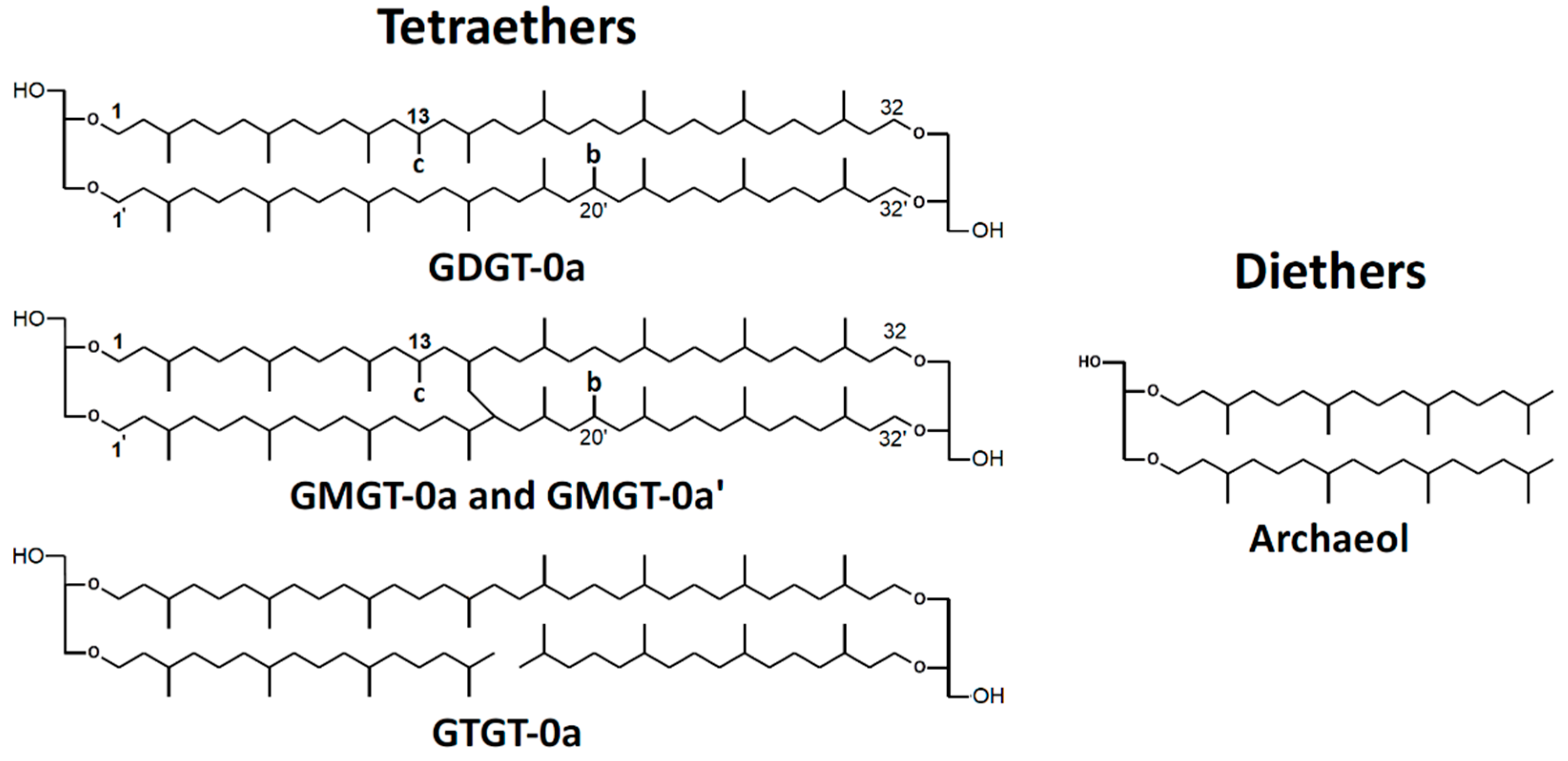 Bioengineering 09 00169 g001 550