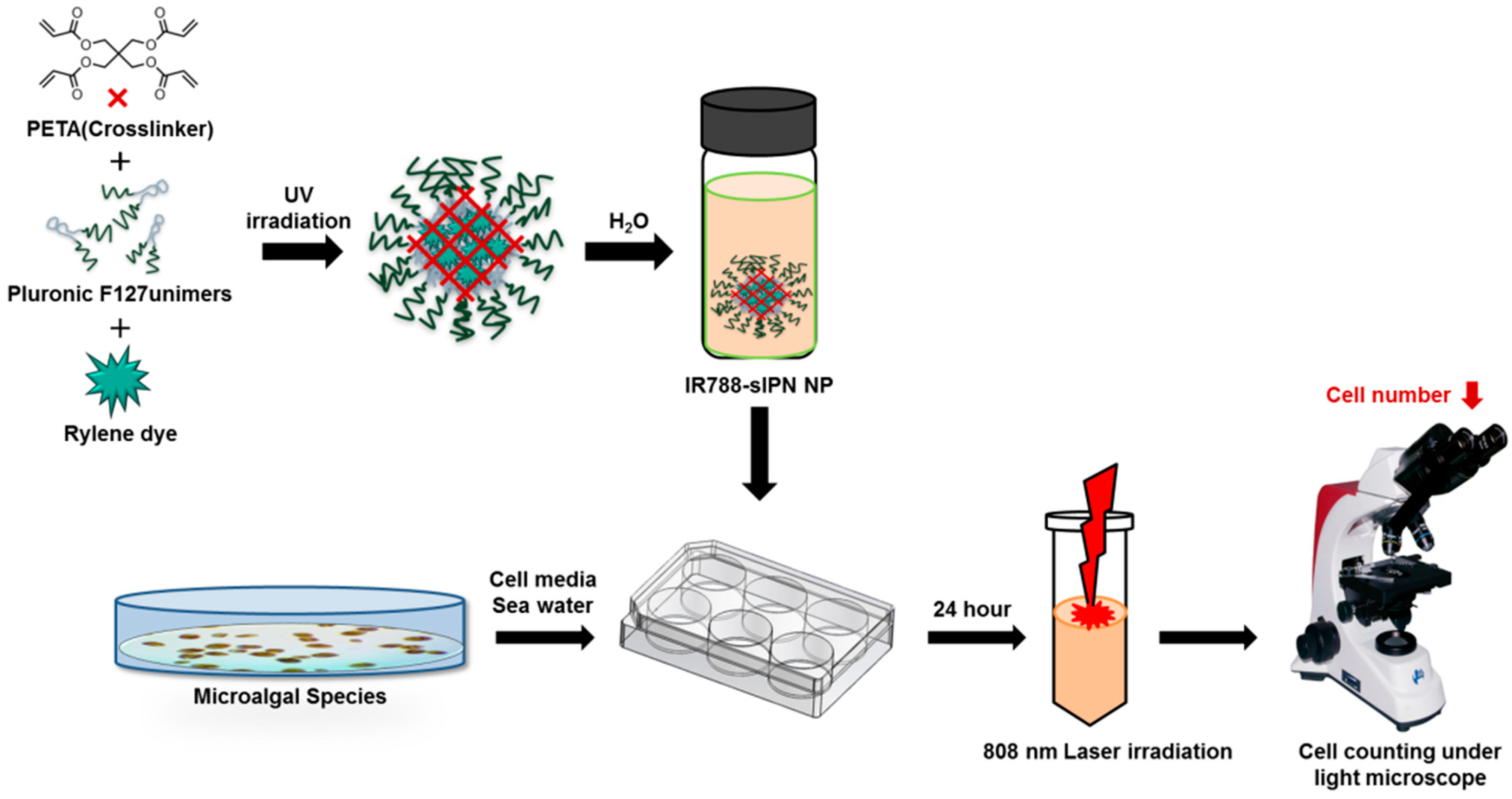 Bioengineering 09 00170 g001 Bioengineering 09 00170 g001