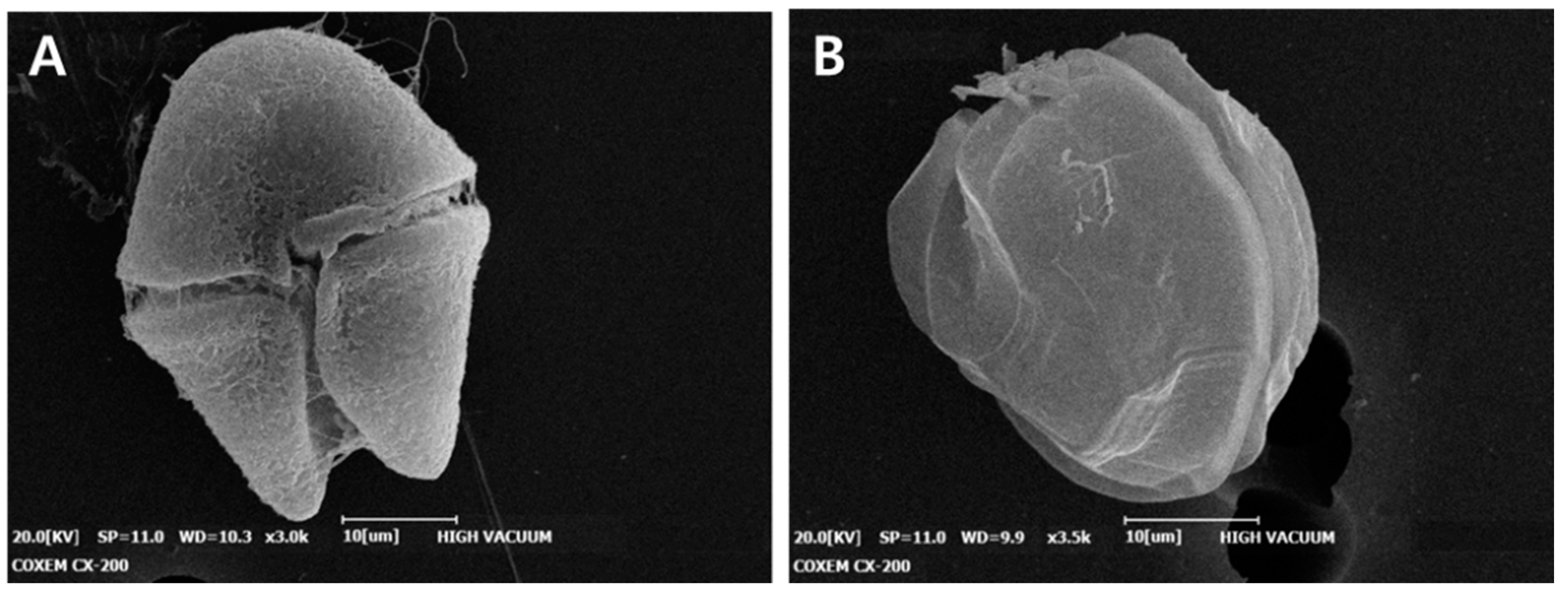 Bioengineering 09 00170 g004 Bioengineering 09 00170 g004