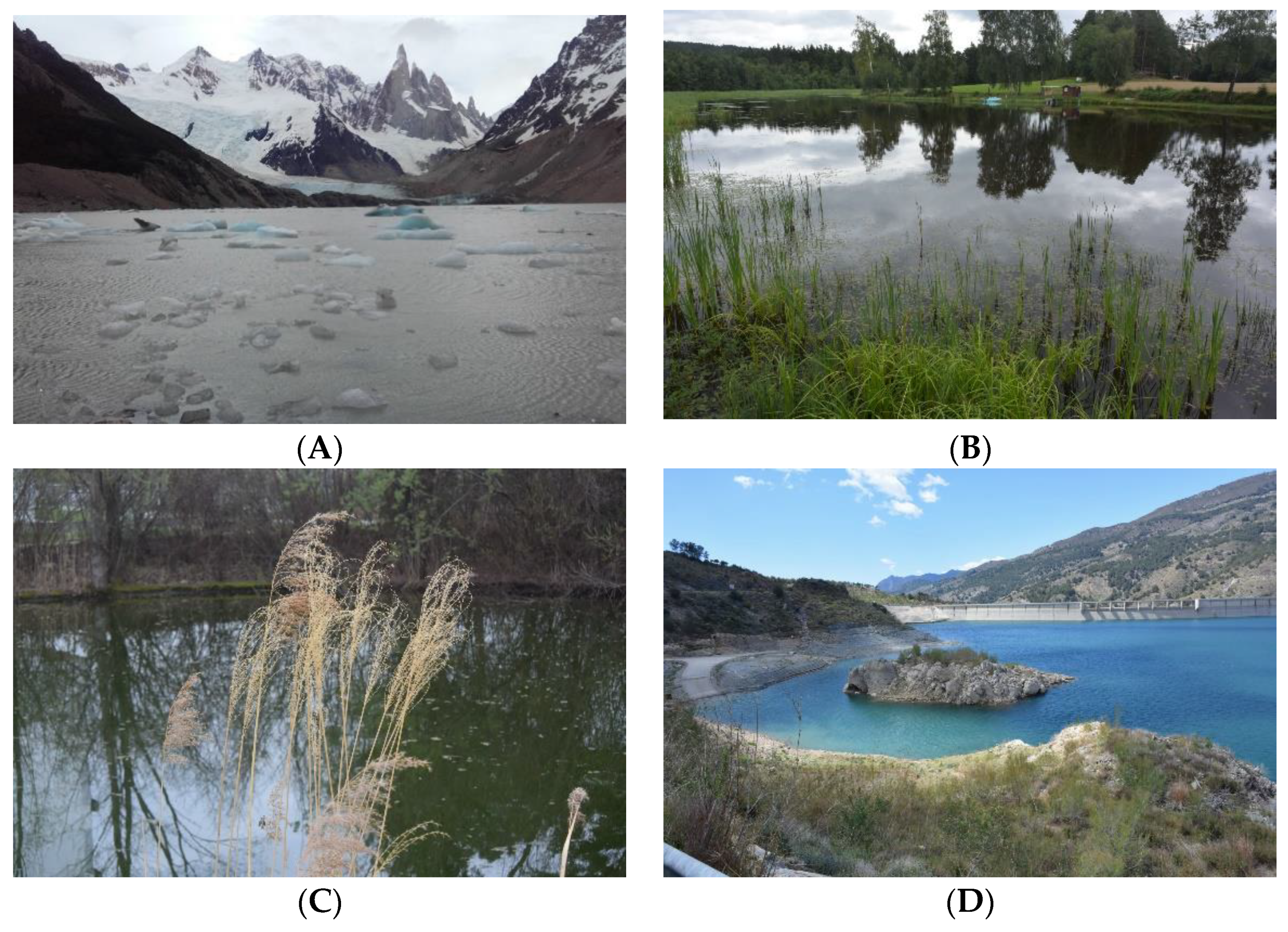 Bioengineering 09 00178 g002 550