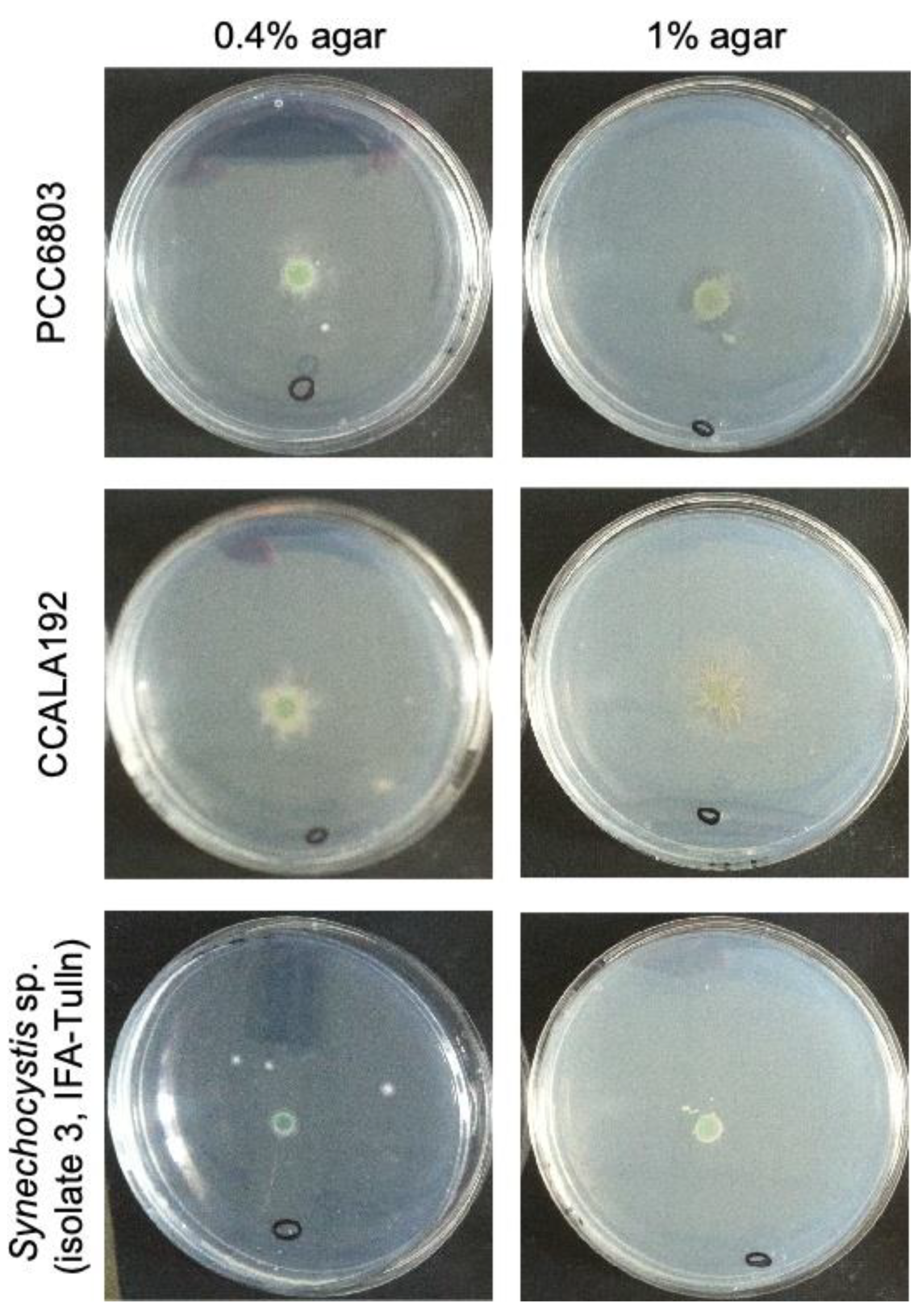 Bioengineering 09 00178 g007 550