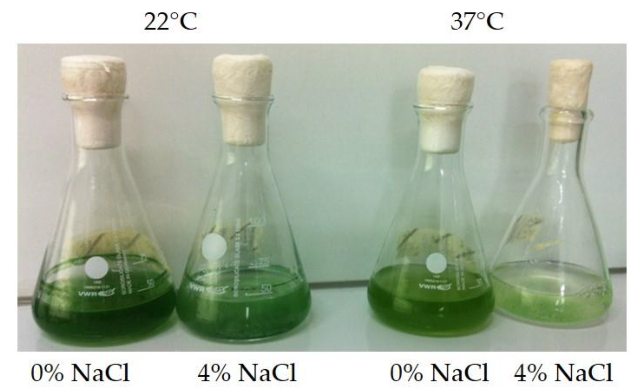 Bioengineering 09 00178 g009 550