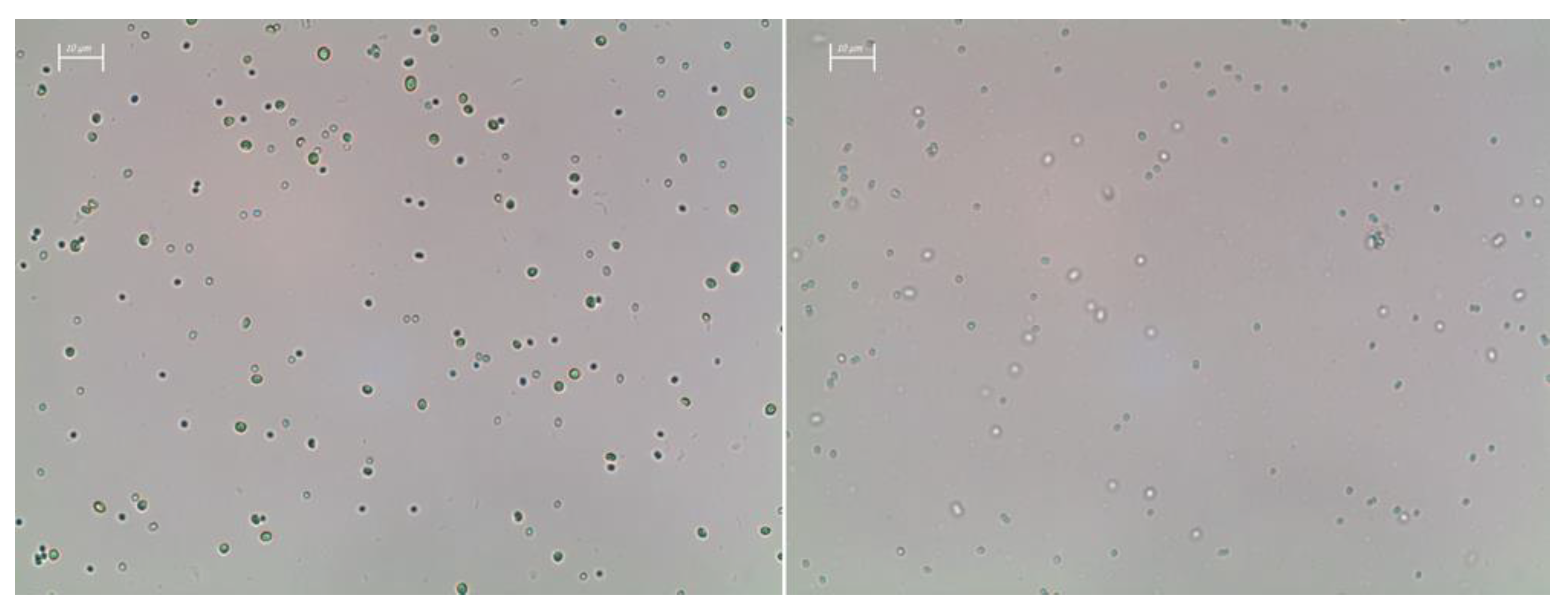 Bioengineering 09 00178 g0a1 550
