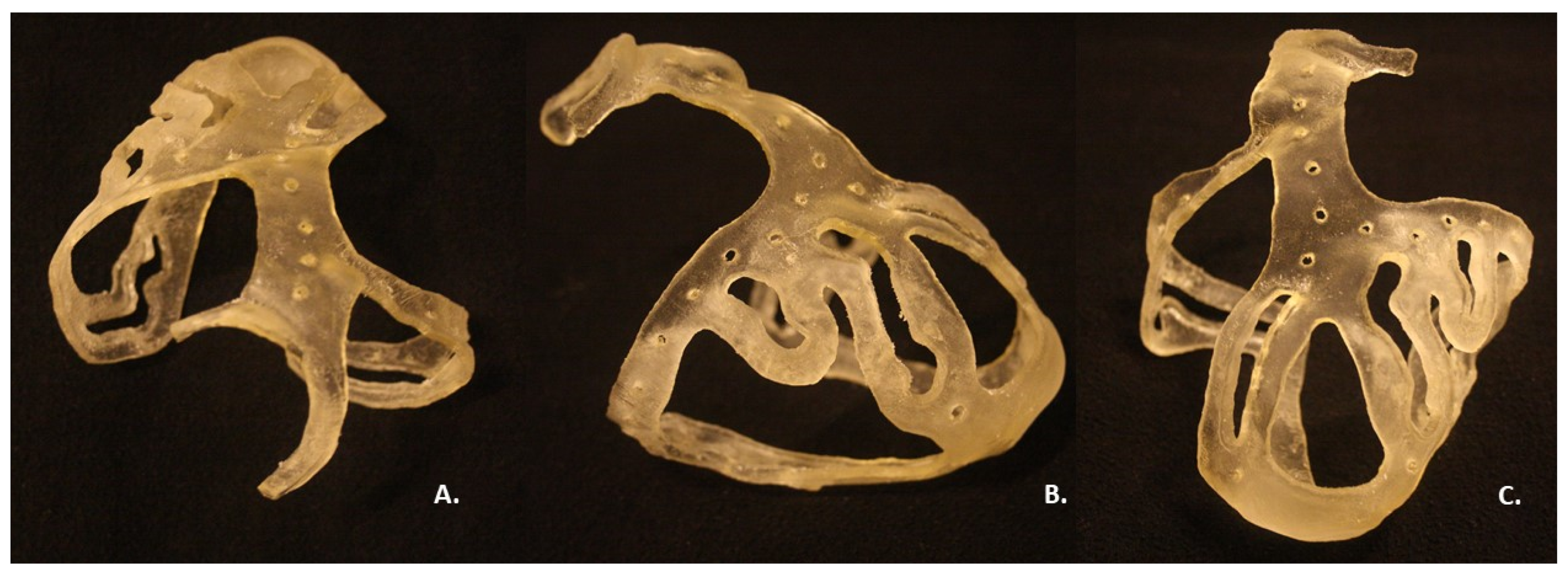 Bioengineering 09 00179 g006 550