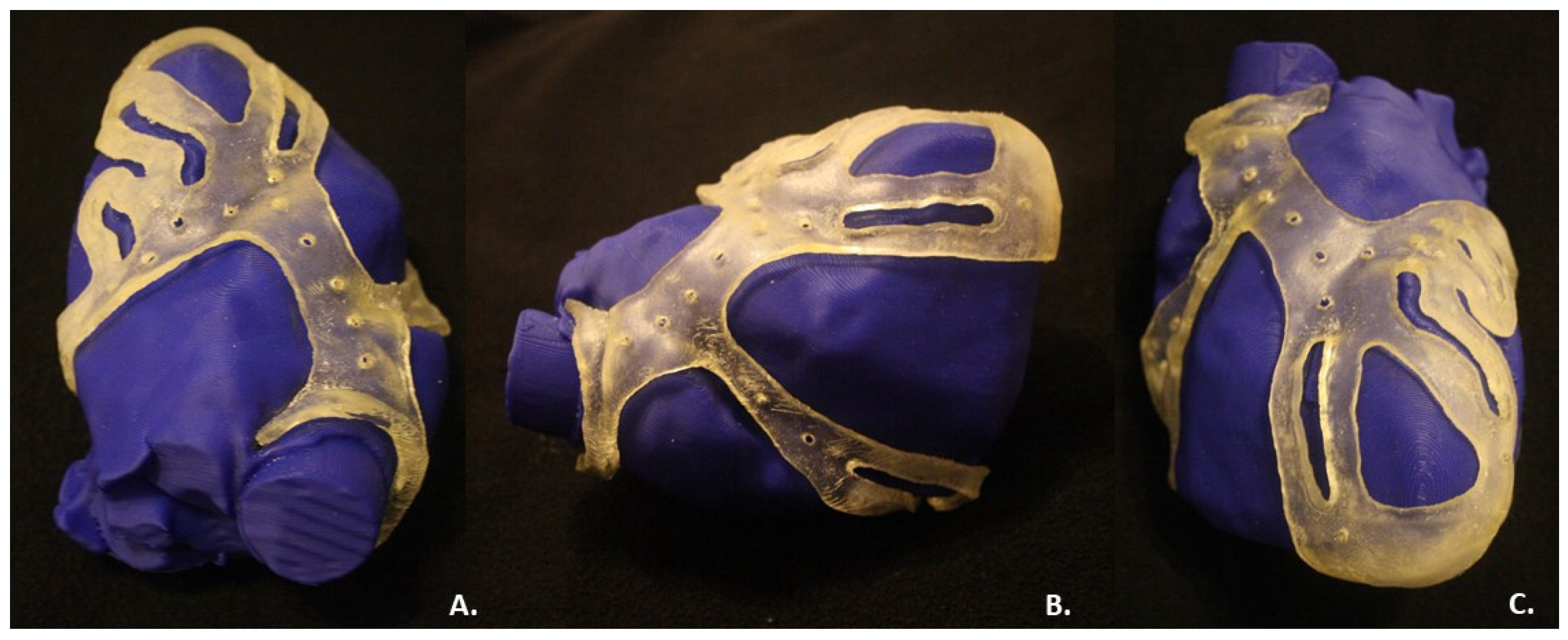 Bioengineering 09 00179 g007 550