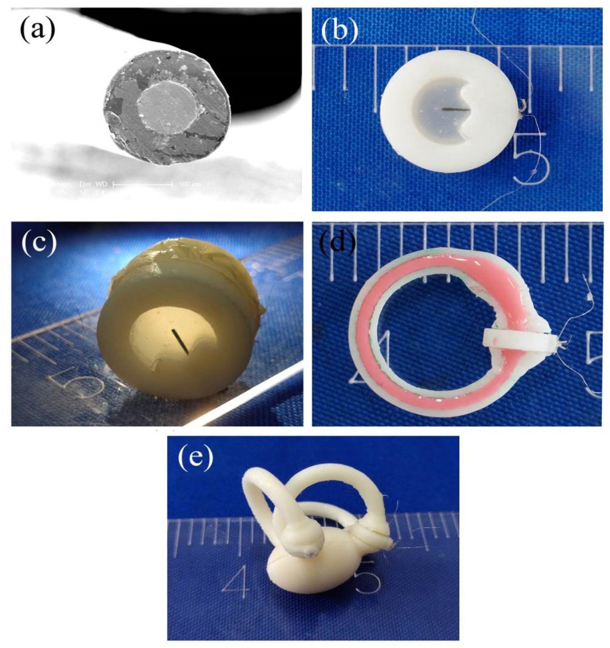 Bioengineering 09 00180 g002