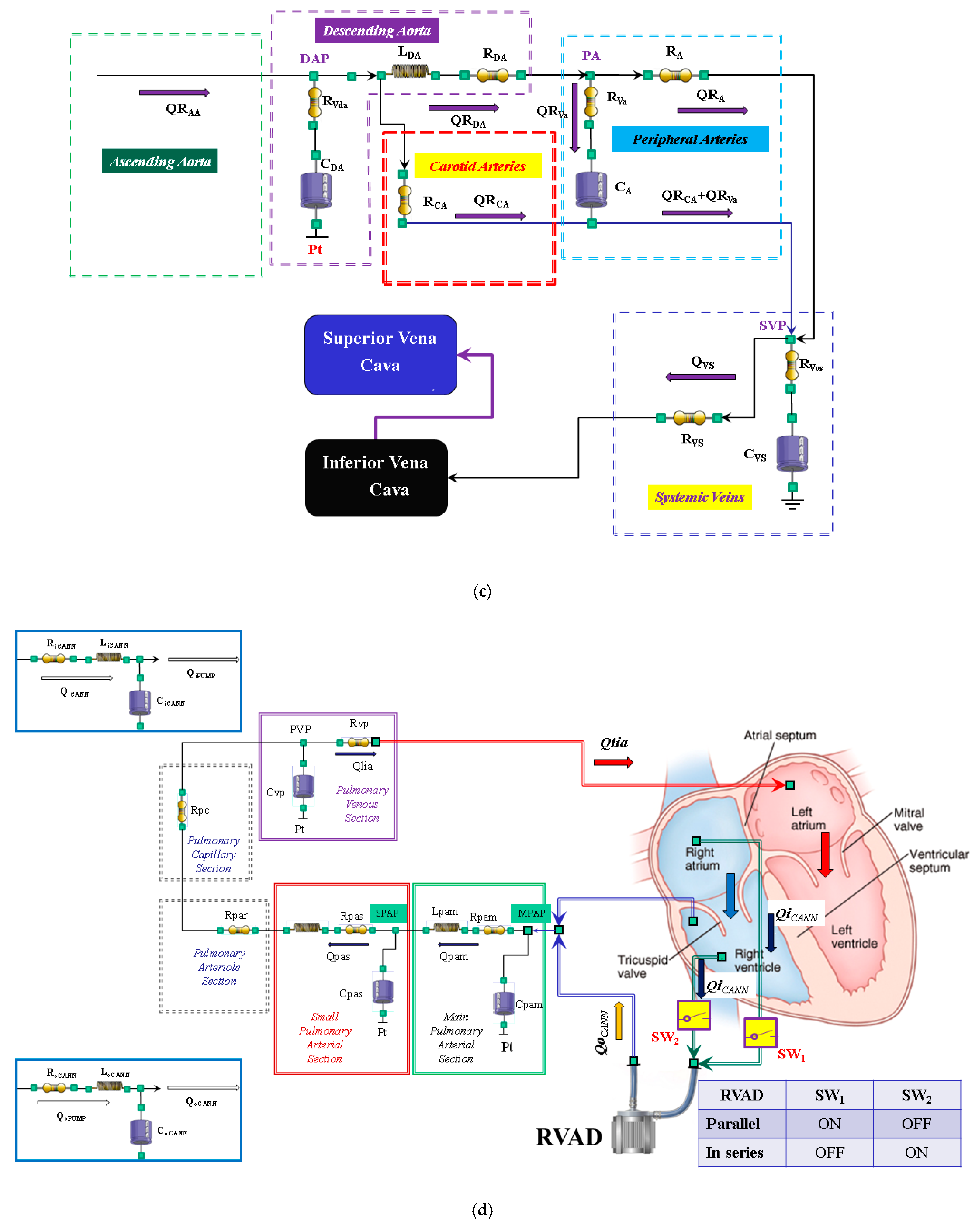 Bioengineering 09 00181 g001b