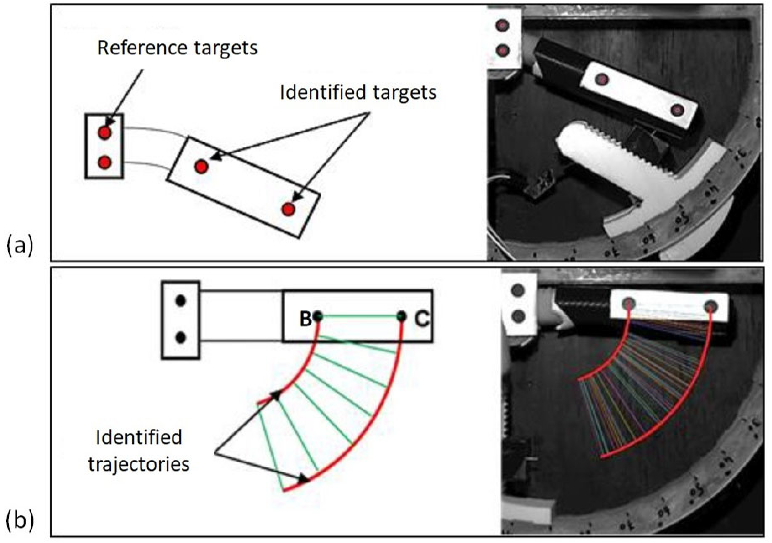 Bioengineering 09 00184 g004 550