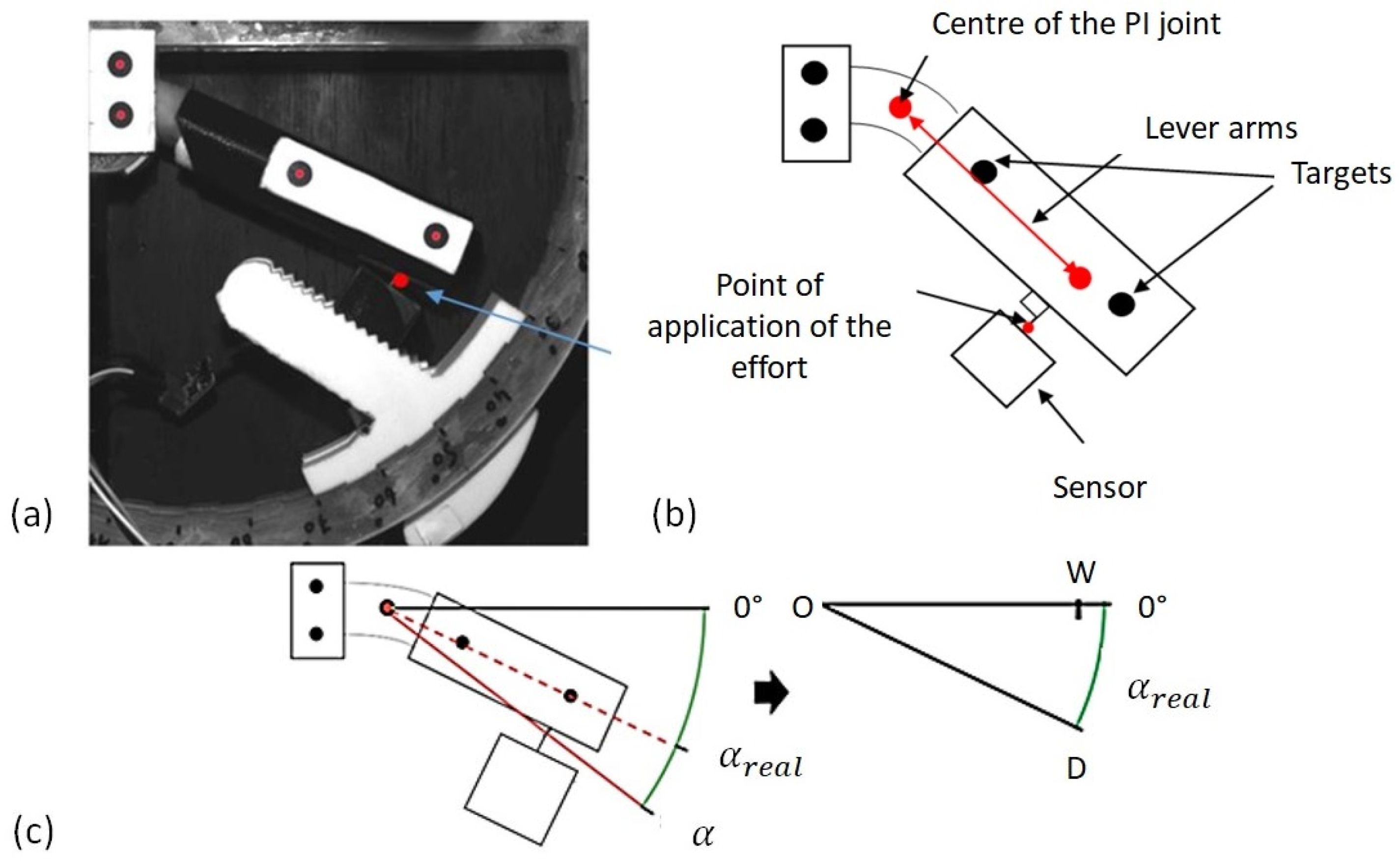 Bioengineering 09 00184 g005 550