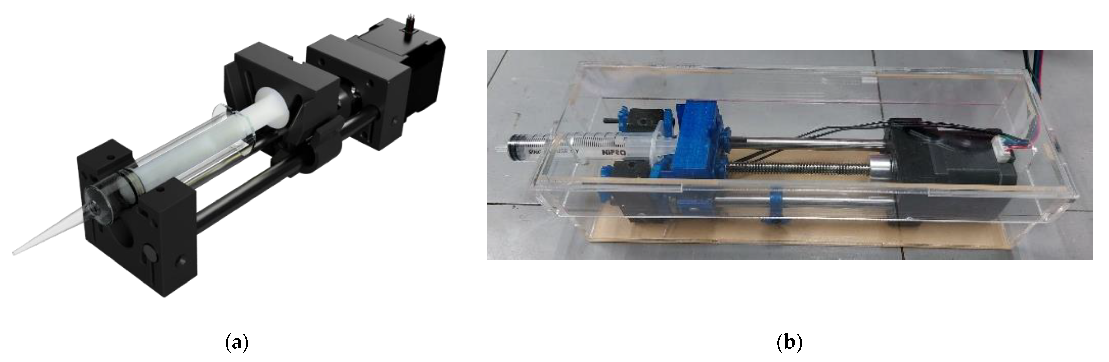 Bioengineering 09 00187 g003