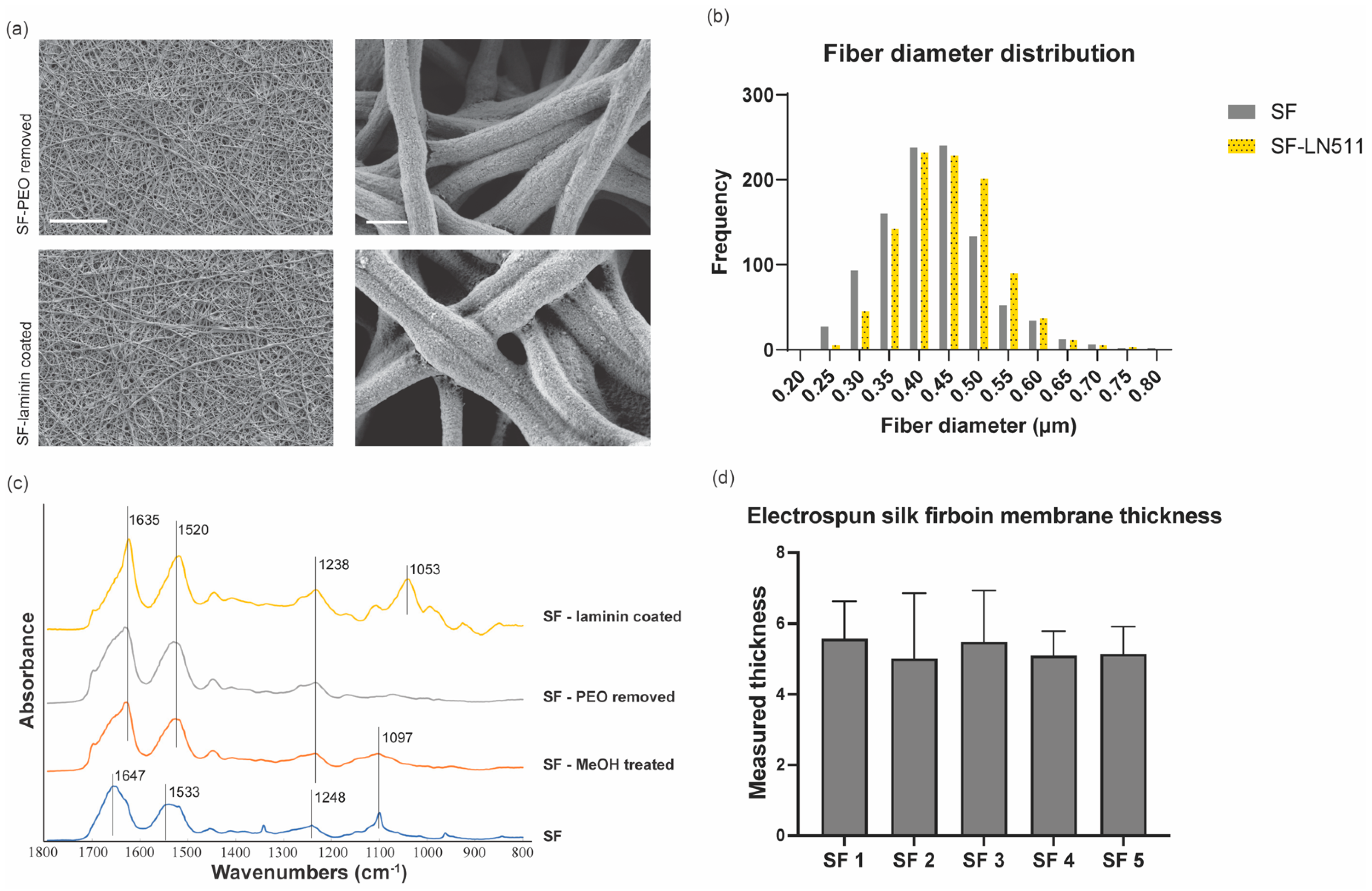 Bioengineering 09 00188 g002
