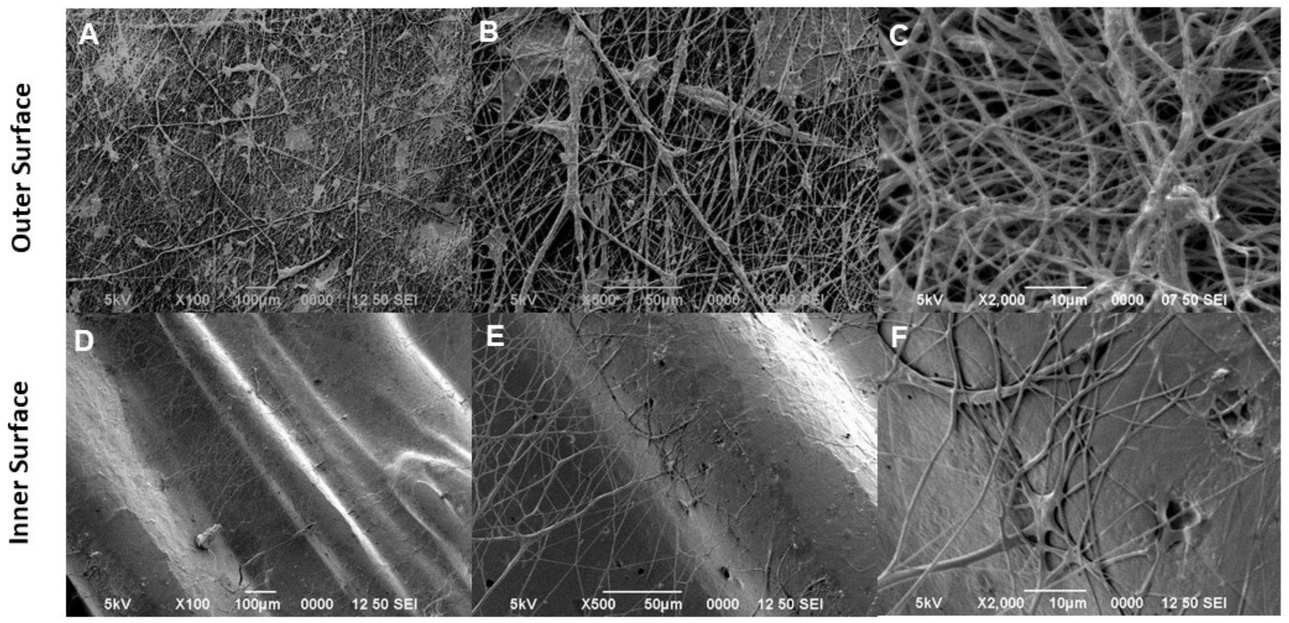 Bioengineering 09 00189 g003
