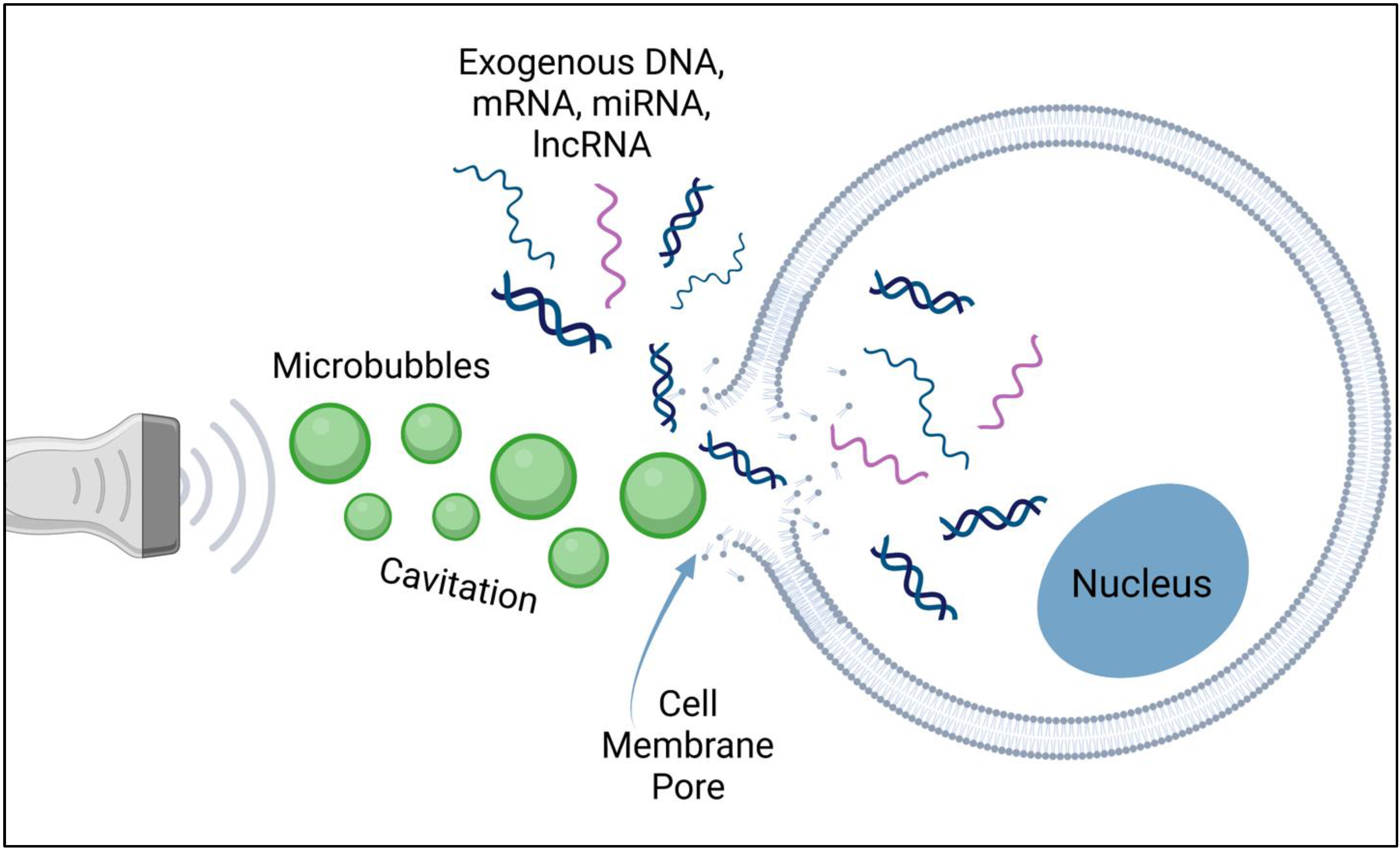 Bioengineering 09 00190 g001