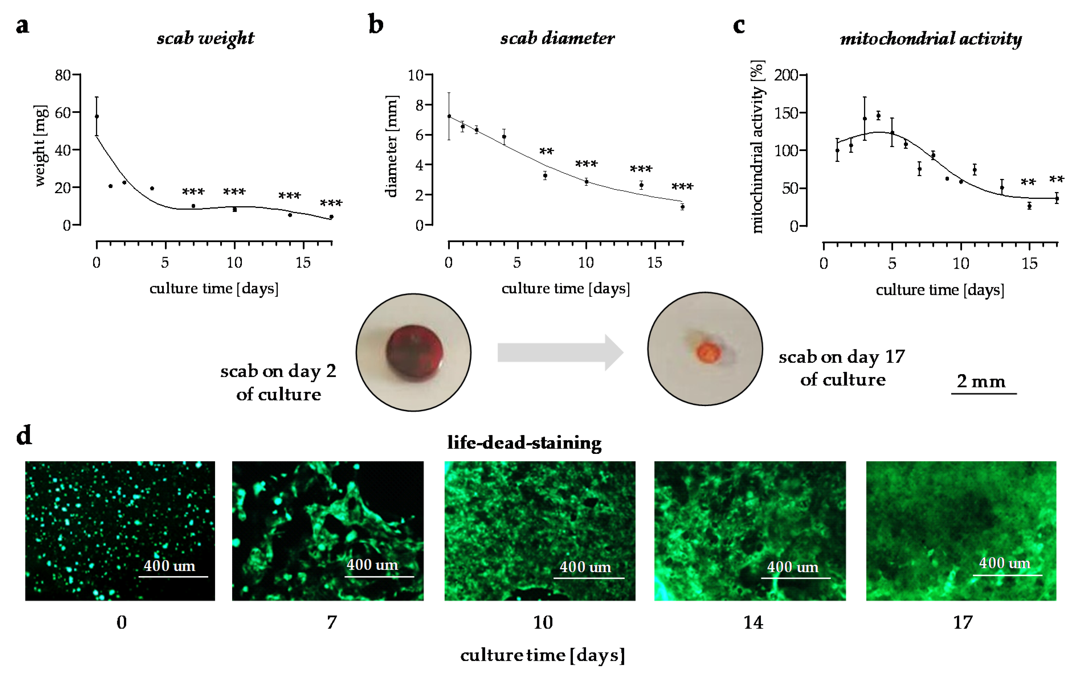 Bioengineering 09 00191 g001 550