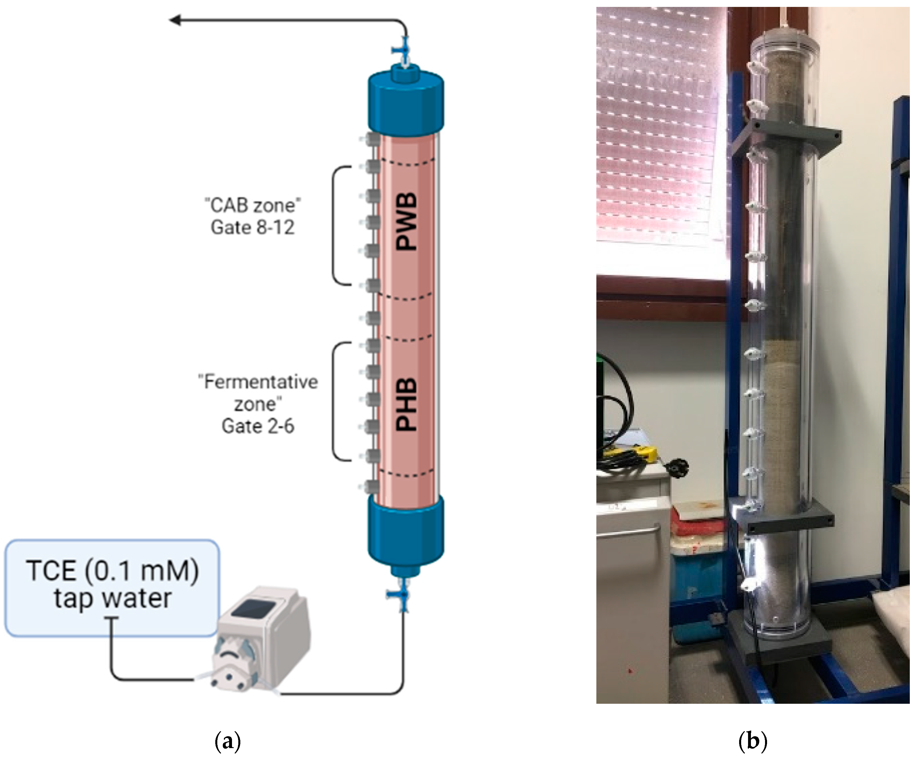 Bioengineering 09 00192 g003