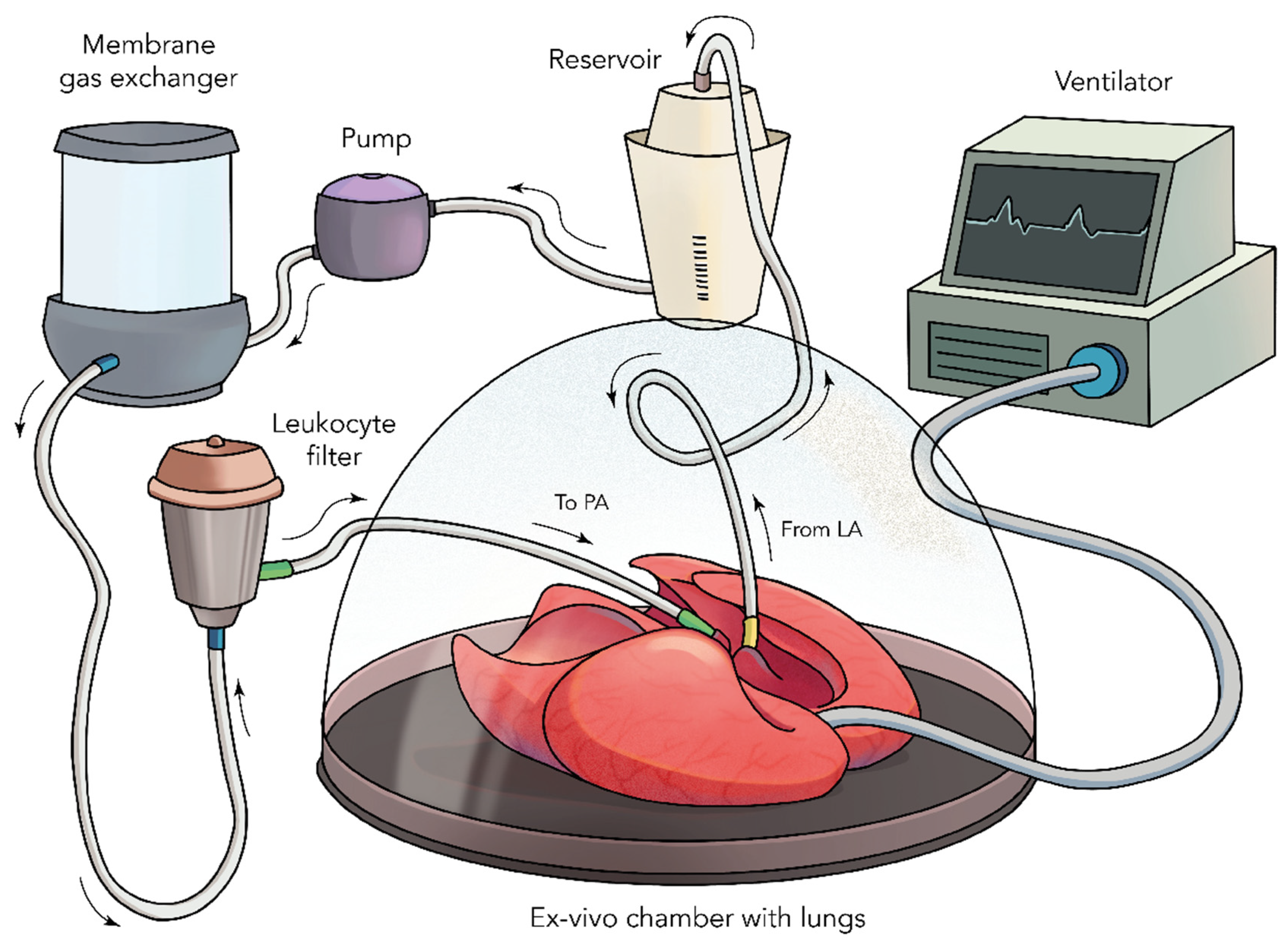 Bioengineering 09 00195 g003 Bioengineering 09 00195 g003