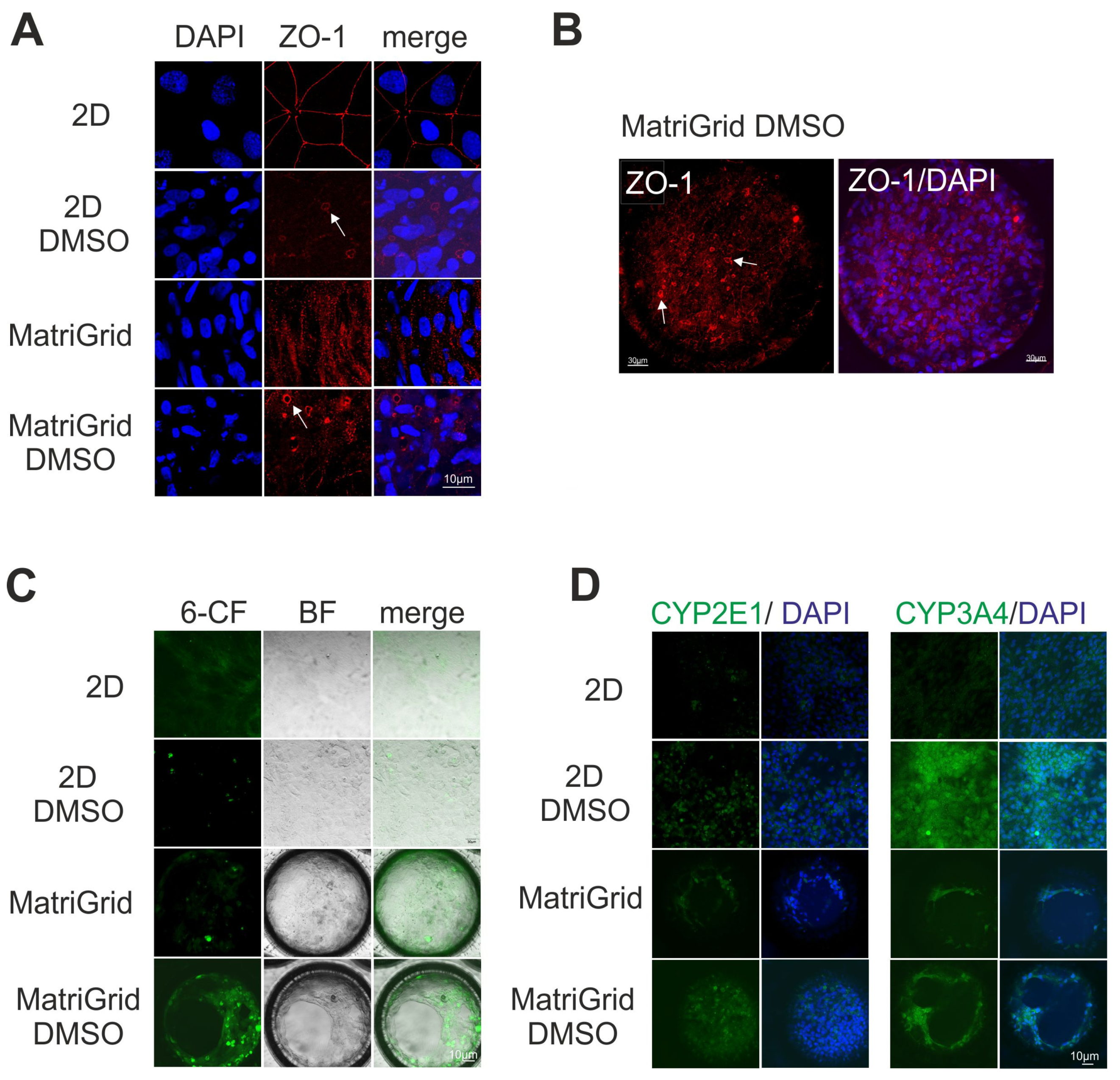 Bioengineering 09 00196 g002
