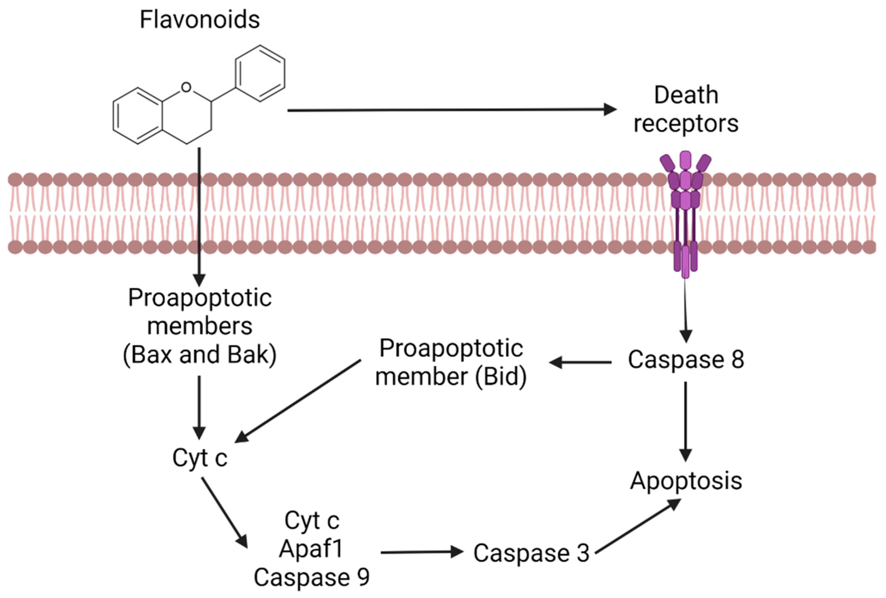 Bioengineering 09 00197 g004 Bioengineering 09 00197 g004