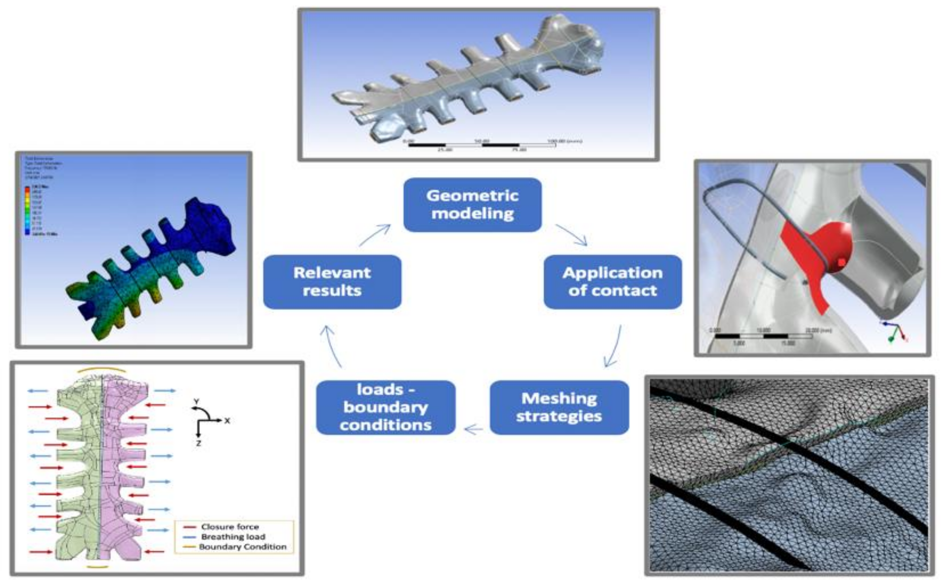 Bioengineering 09 00198 g002 Bioengineering 09 00198 g002