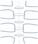 Bioengineering 09 00198 i001 Bioengineering 09 00198 i001