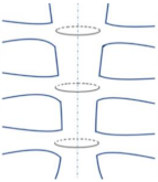 Bioengineering 09 00198 i002 Bioengineering 09 00198 i002