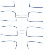 Bioengineering 09 00198 i003 Bioengineering 09 00198 i003