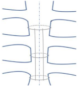 Bioengineering 09 00198 i006 Bioengineering 09 00198 i006