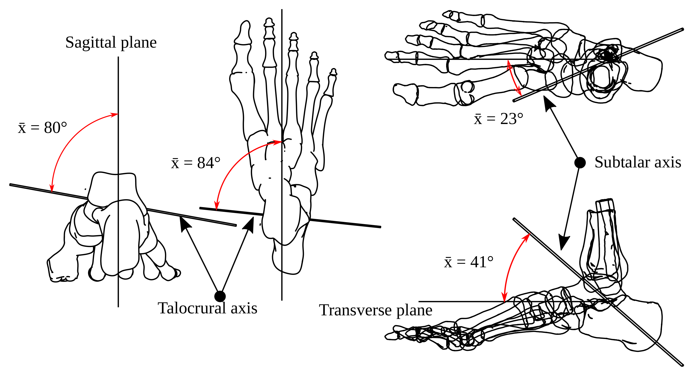 Bioengineering 09 00199 g003