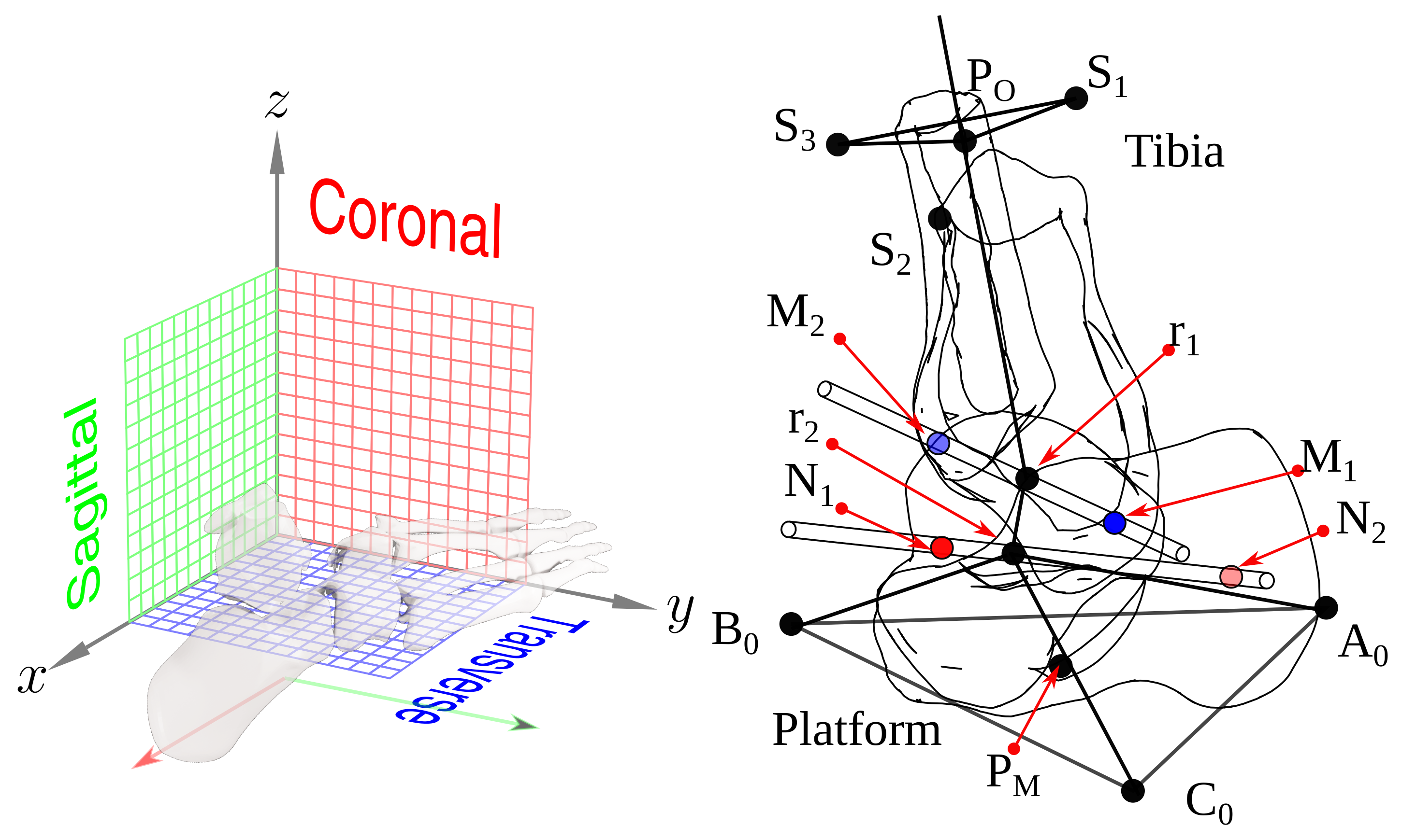 Bioengineering 09 00199 g004
