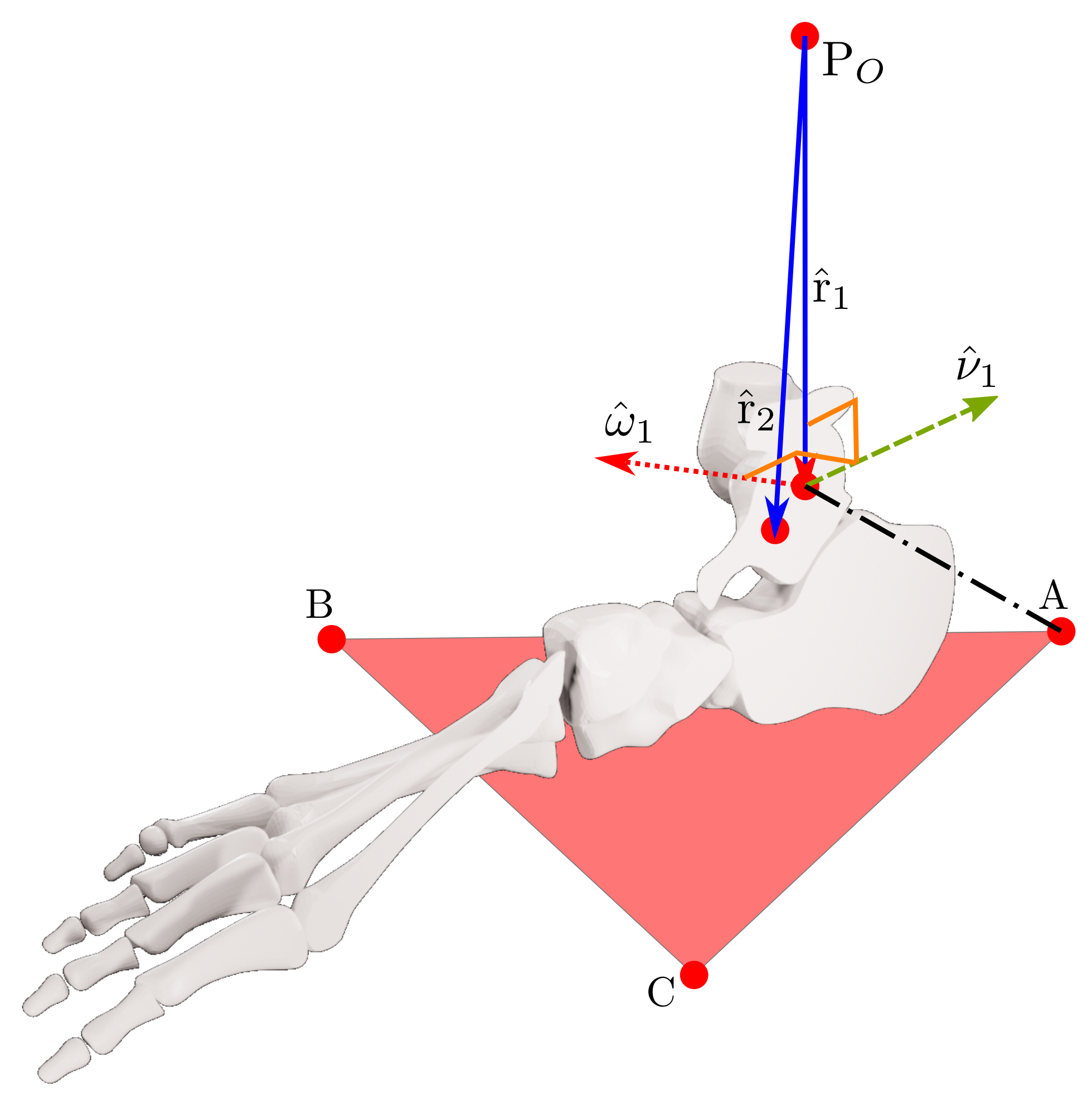 Bioengineering 09 00199 g005