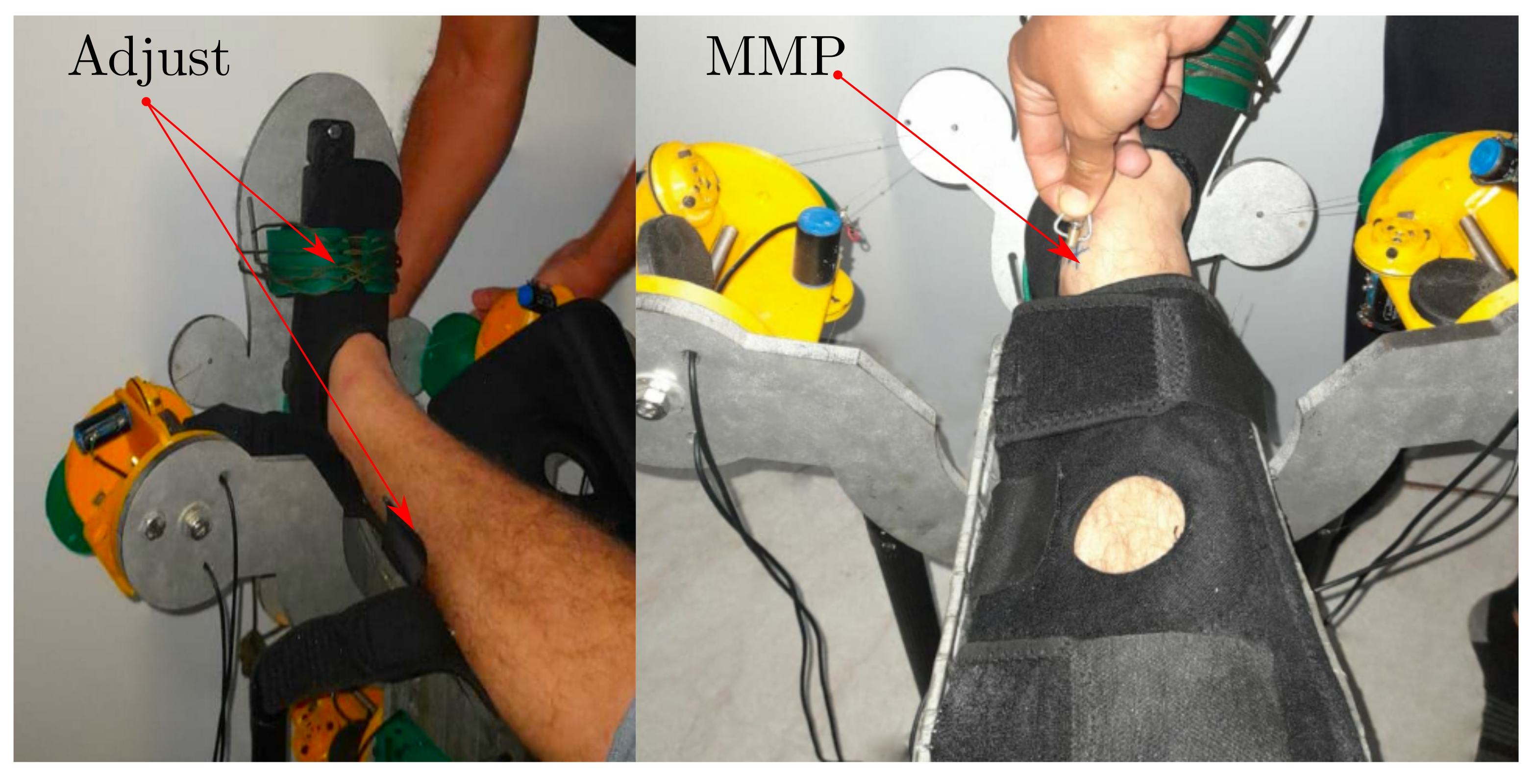 Bioengineering 09 00199 g013