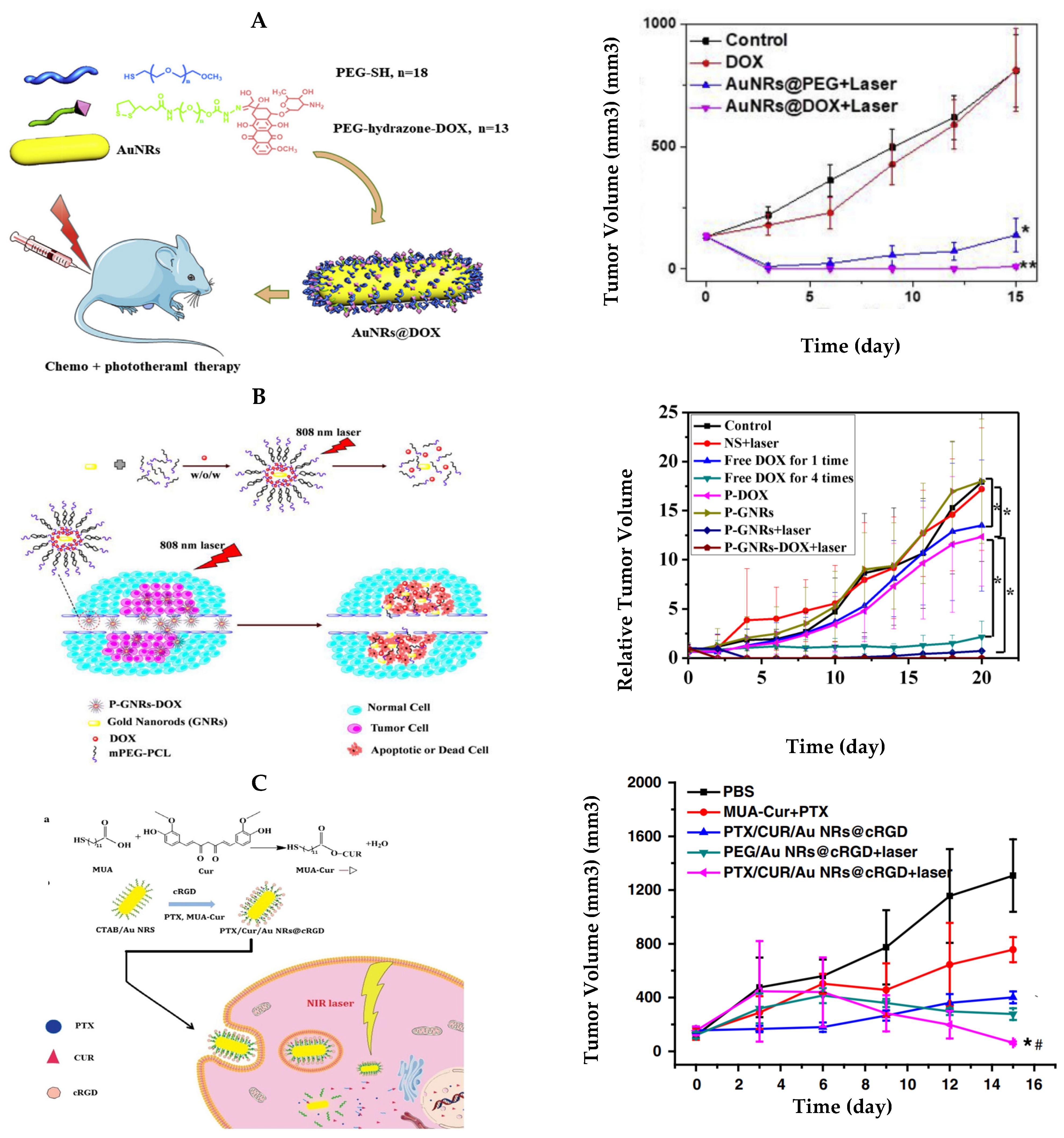 Bioengineering 09 00200 g004 550