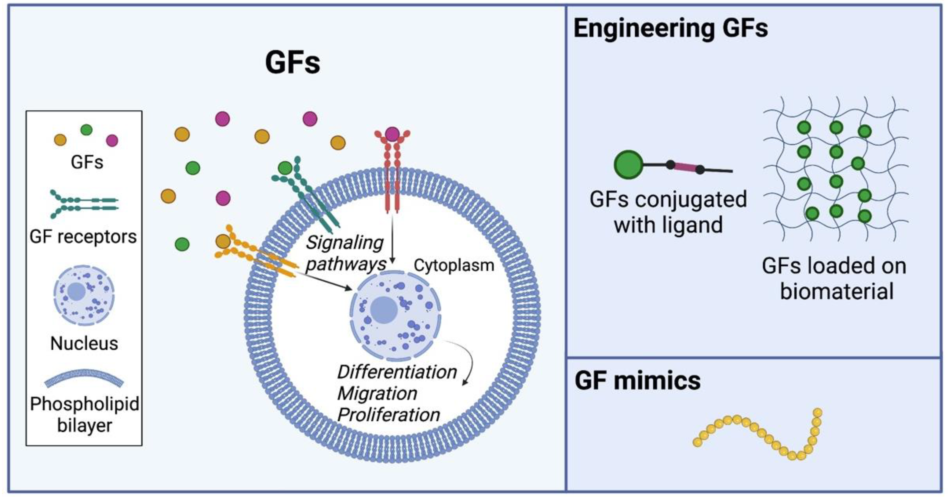 Bioengineering 09 00202 g004