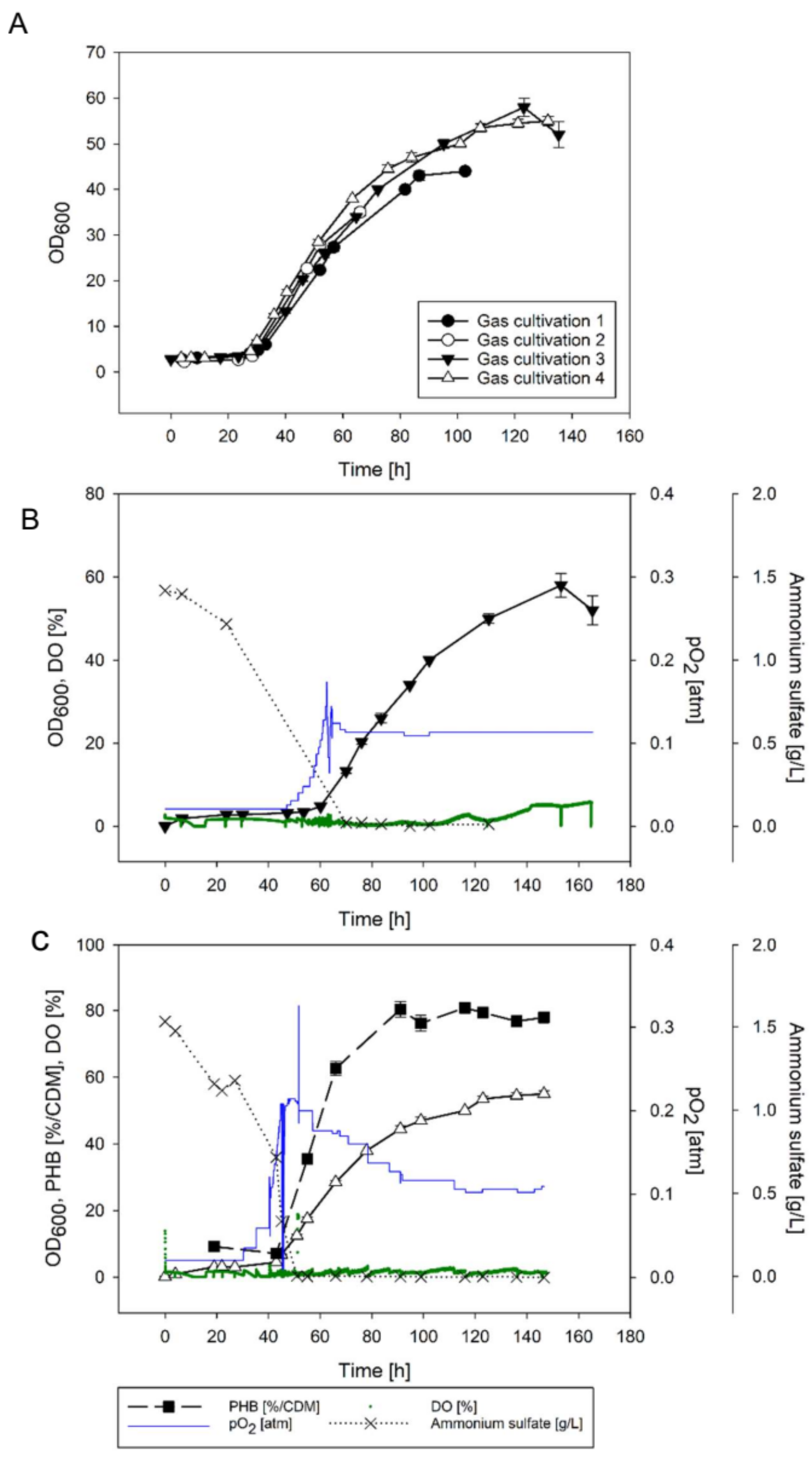Bioengineering 09 00204 g007