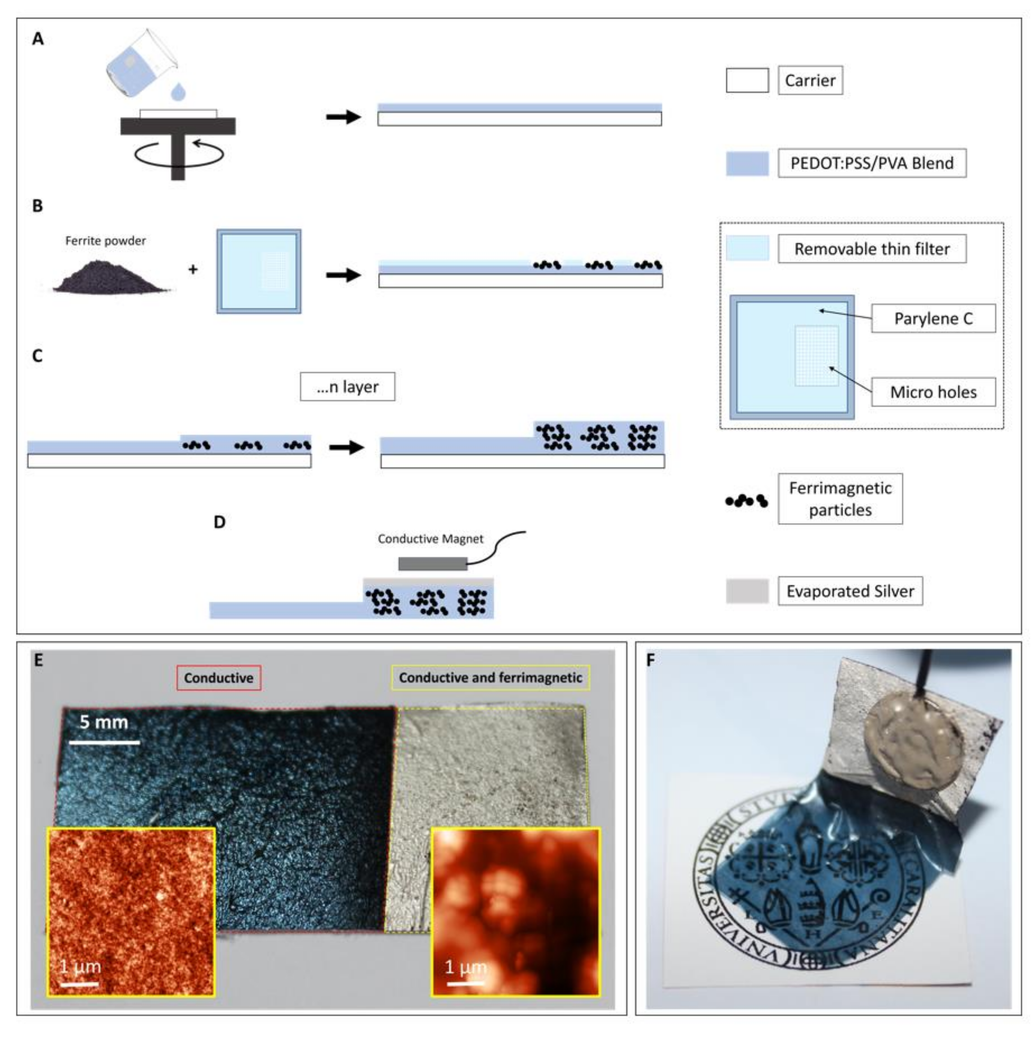 Bioengineering 09 00205 g001 Bioengineering 09 00205 g001