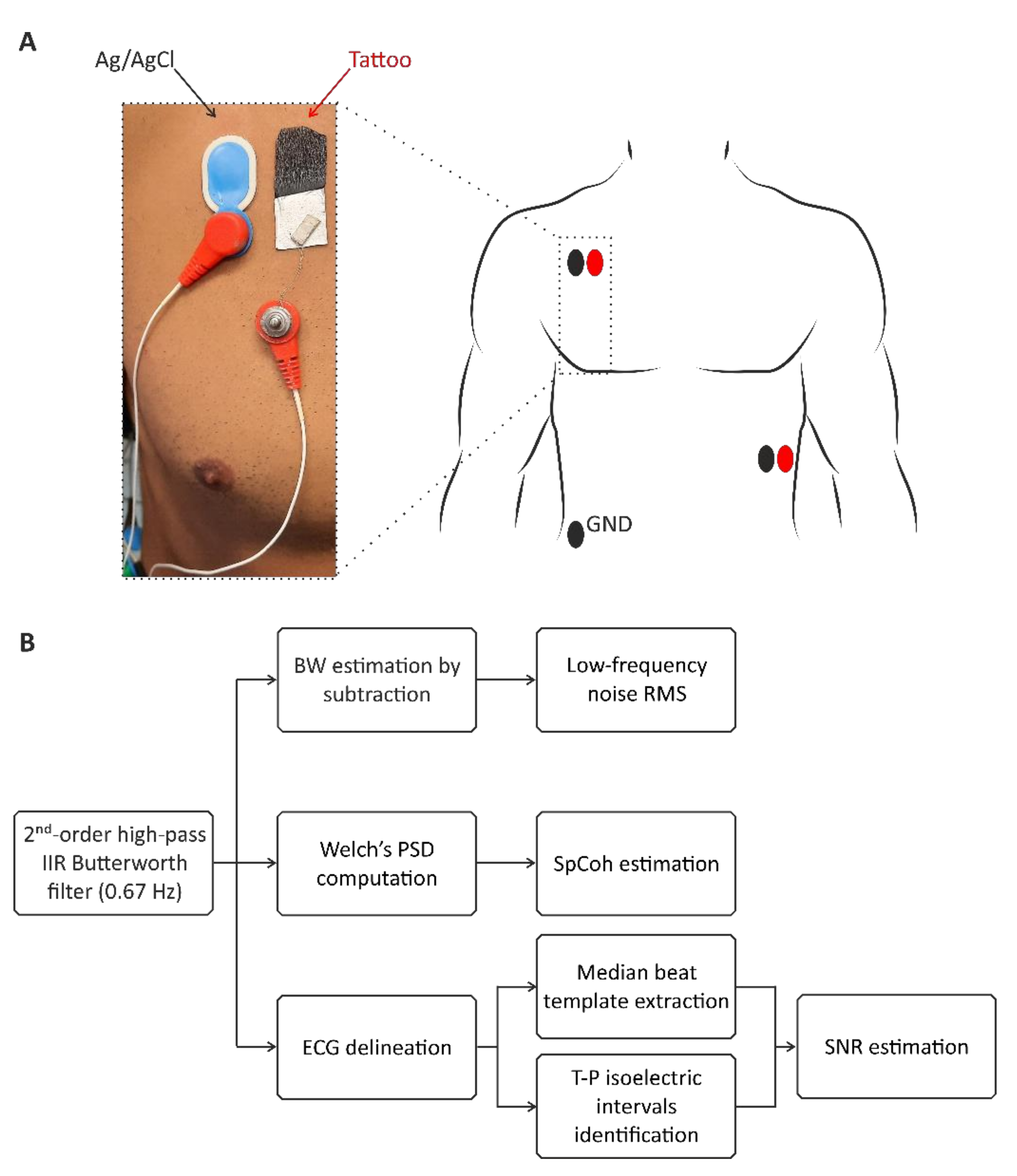 Bioengineering 09 00205 g003 Bioengineering 09 00205 g003