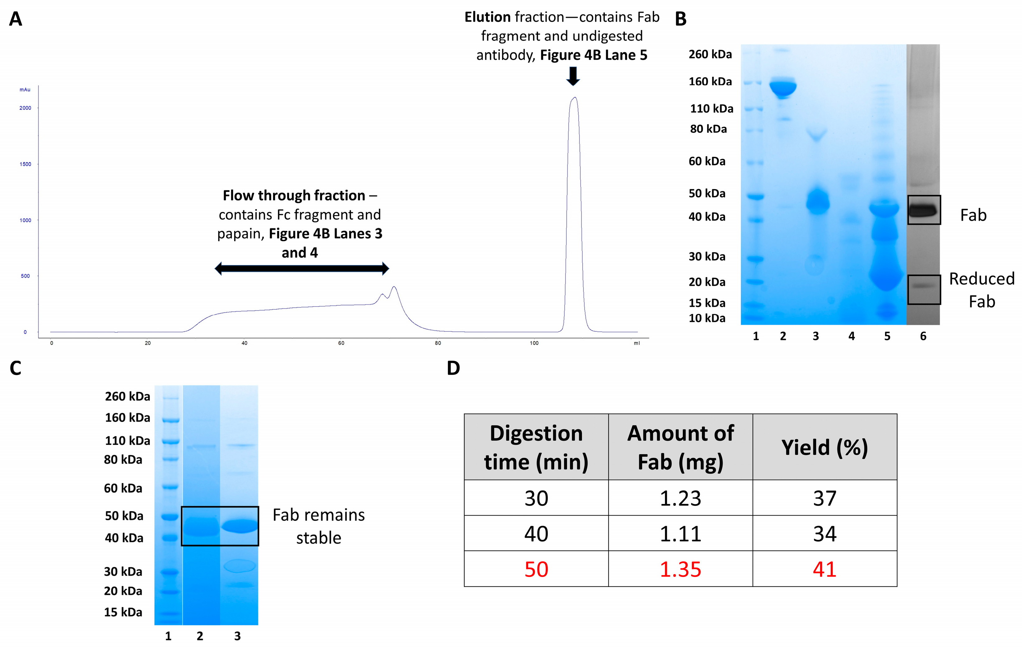 Bioengineering 09 00209 g004 550