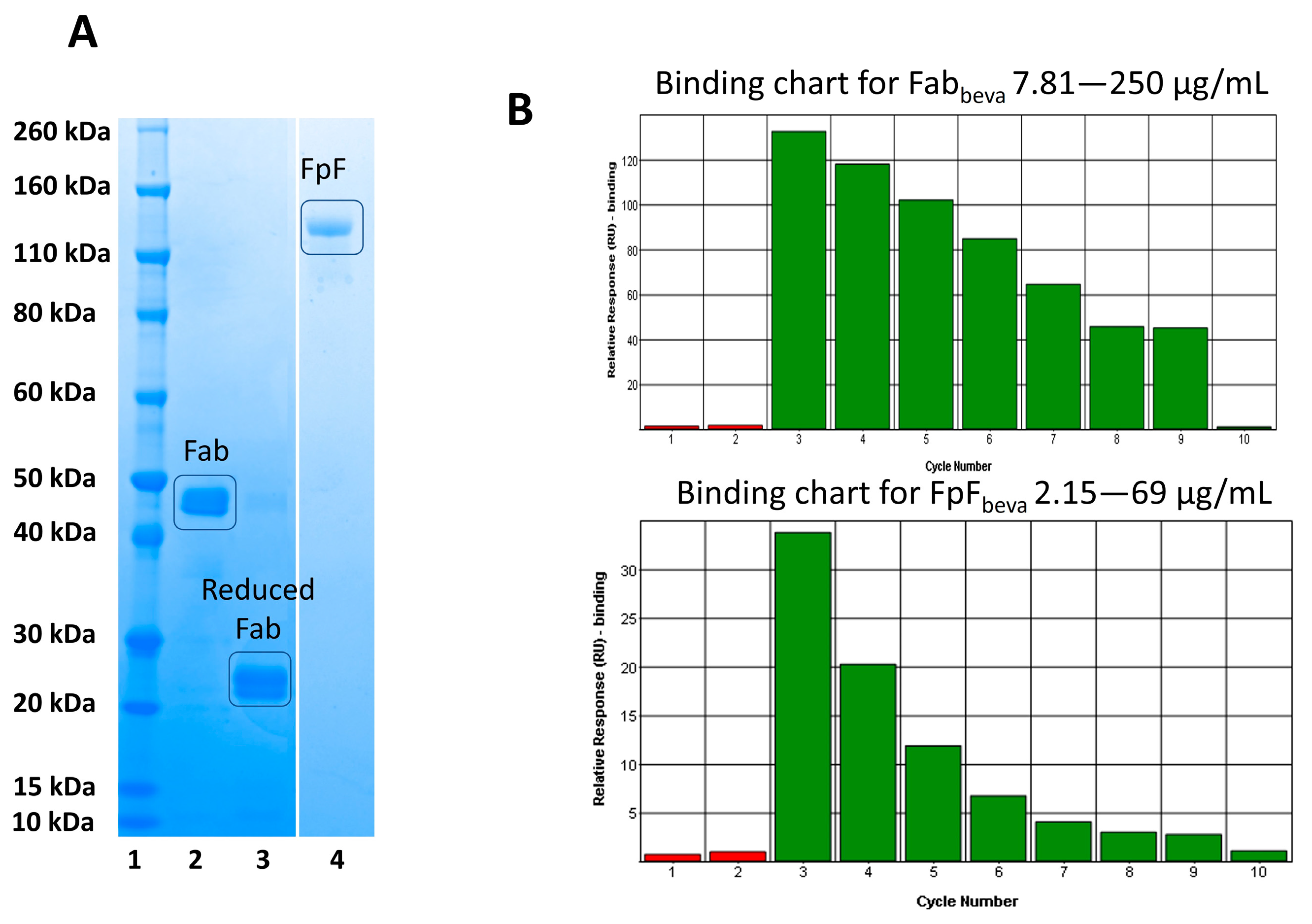 Bioengineering 09 00209 g005 550